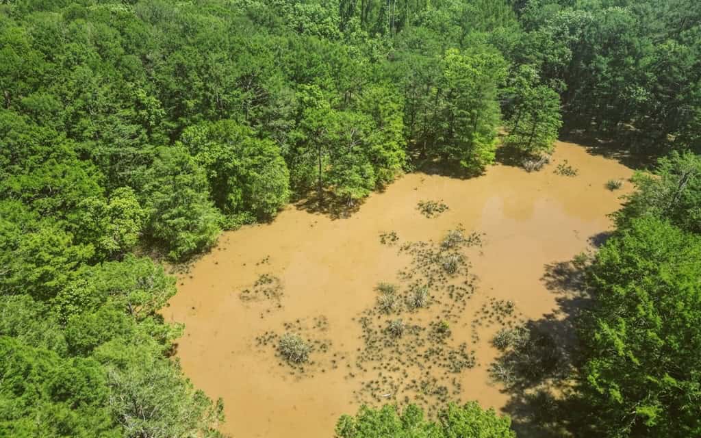 1001 Travelers Rest Road