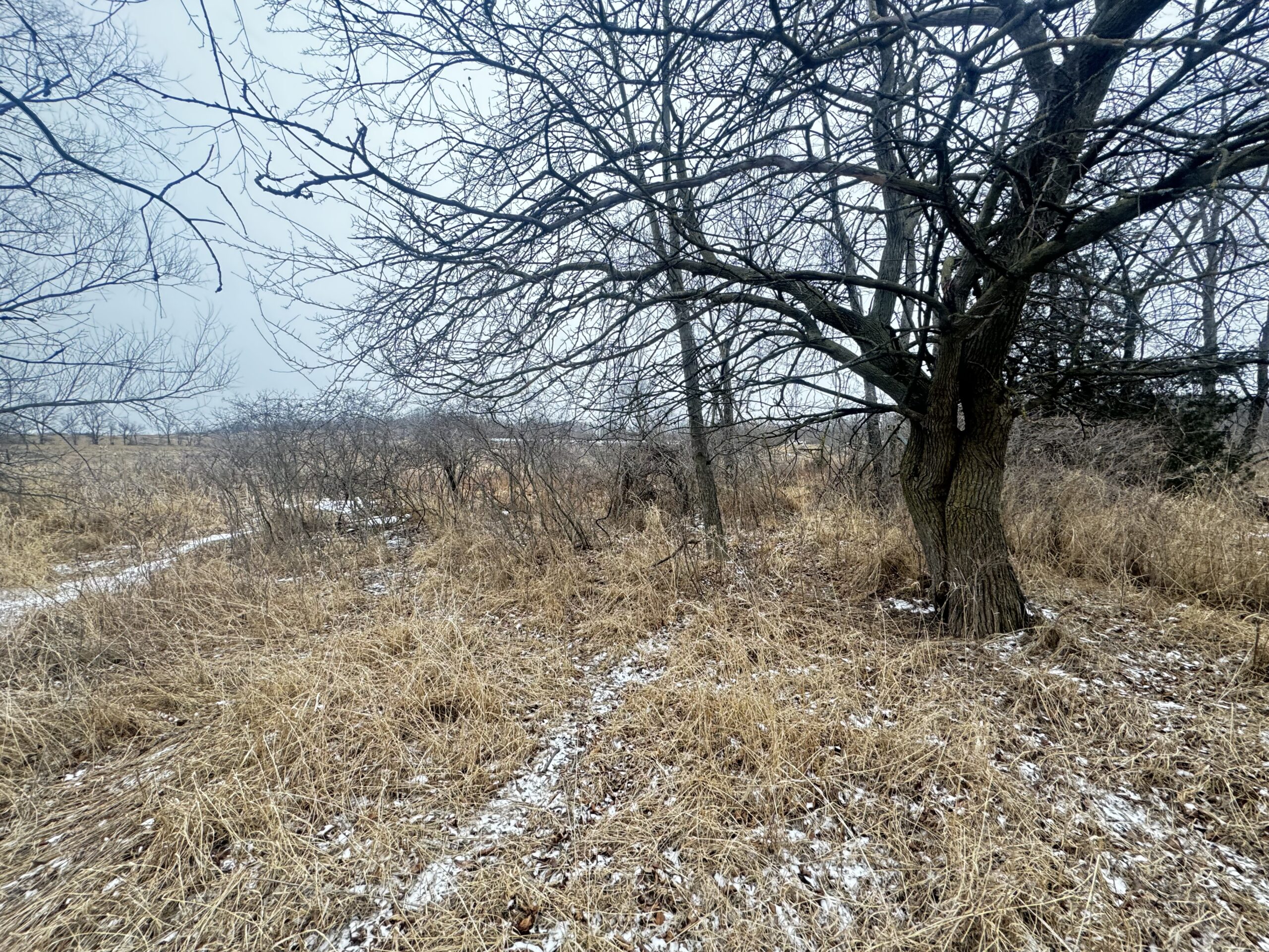 40-acre gem in Marquette County, Wisconsin