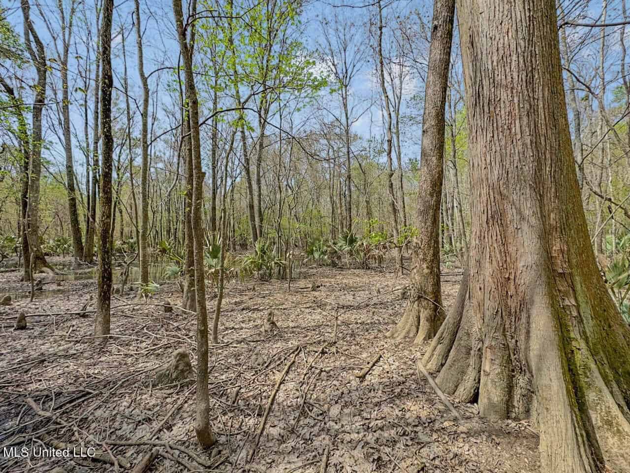 Affordable Deer/Duck Combination in Concordia Parish