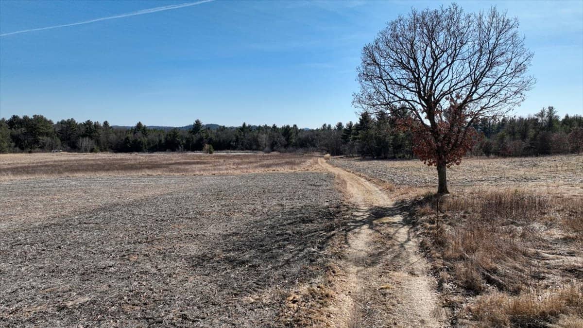 Premier Hunting and Recreational Property in Monroe County