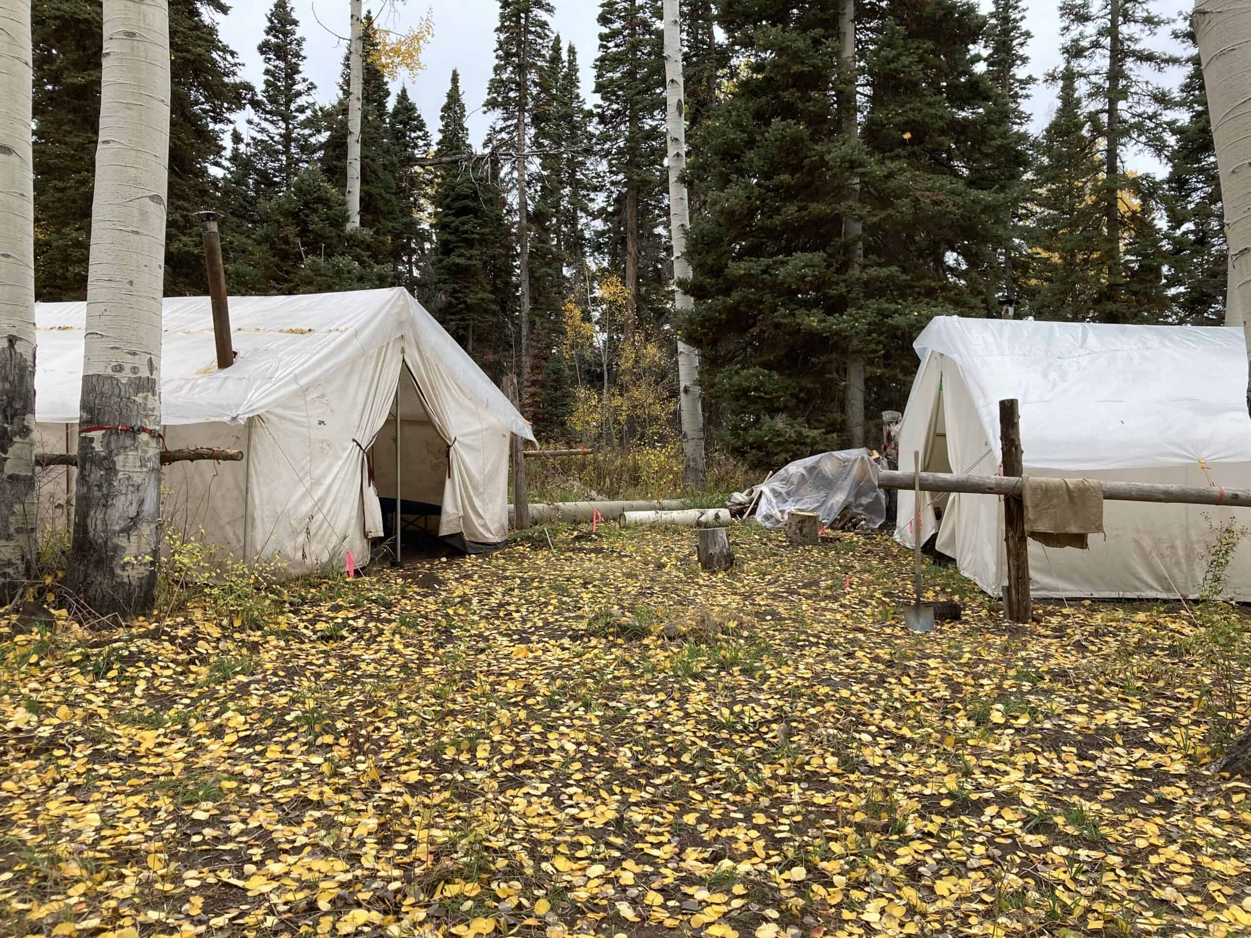 Colorado Outfitting Business for Sale Accessing National Forest
