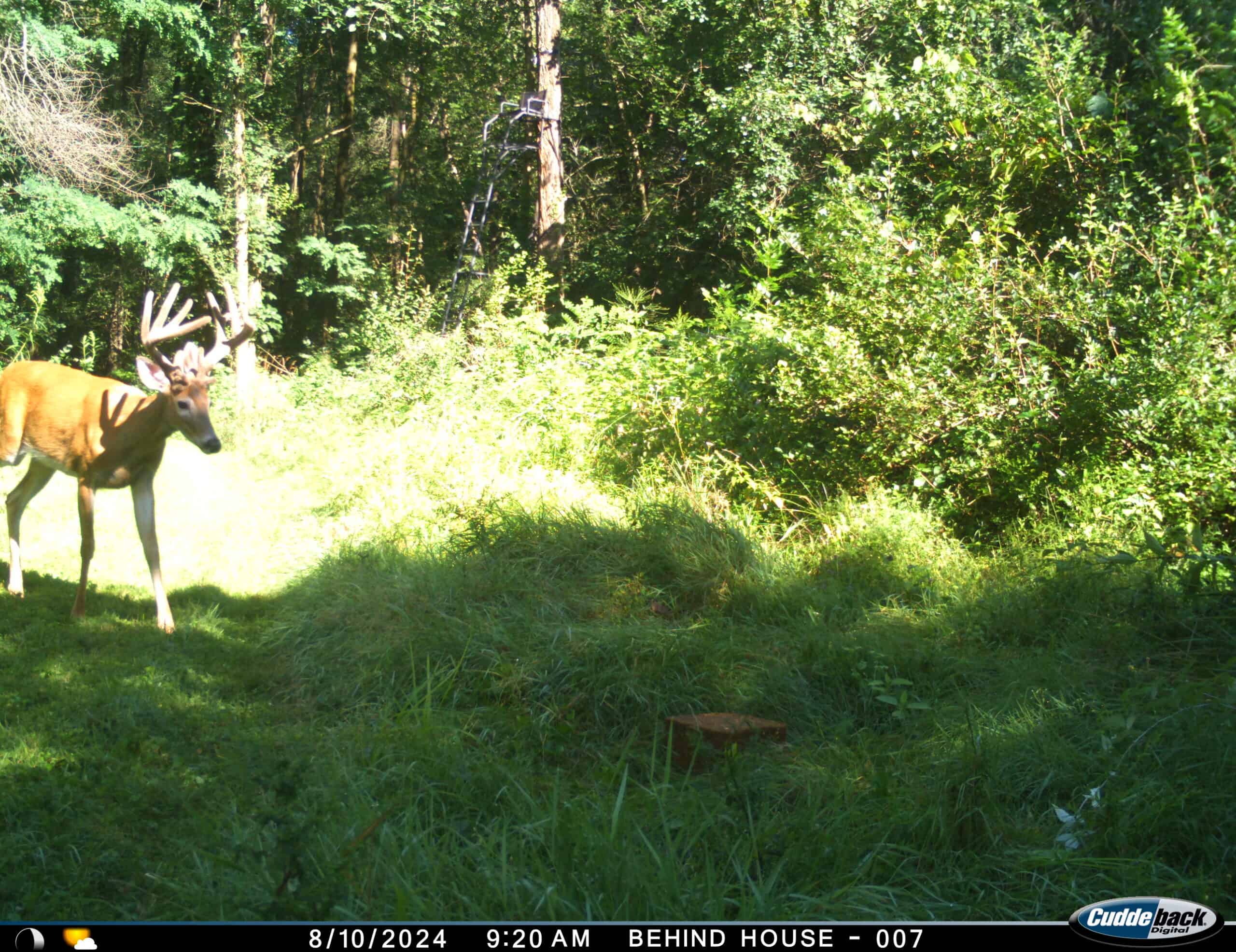 Discover S790 Wrobel Road Chaseburg Wisconsin