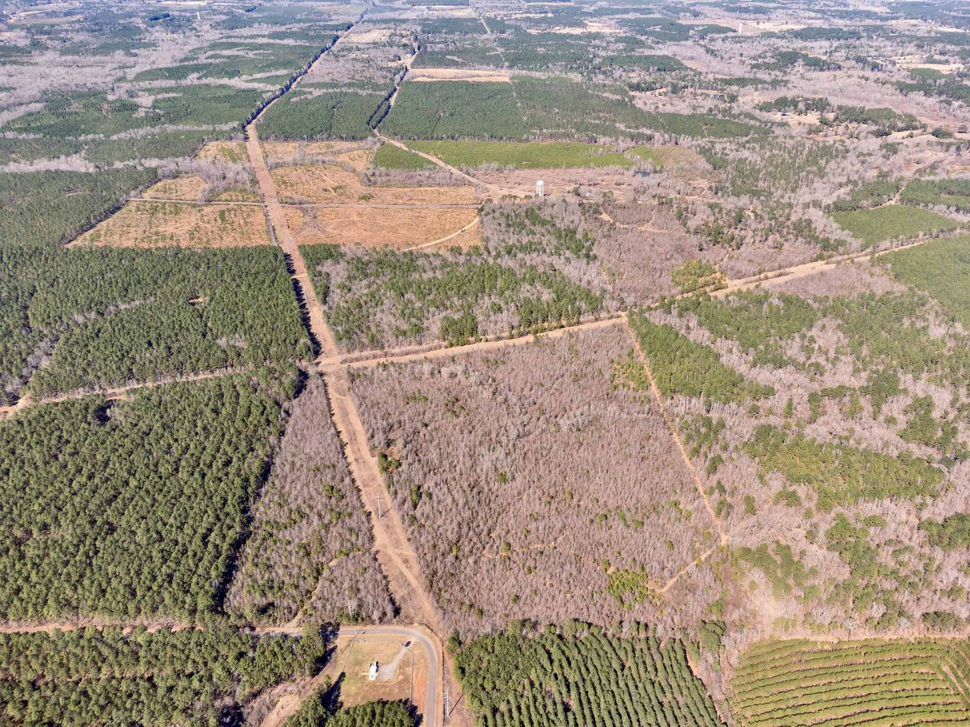Woodville 54 – SW Lincoln Parish Timber Tract