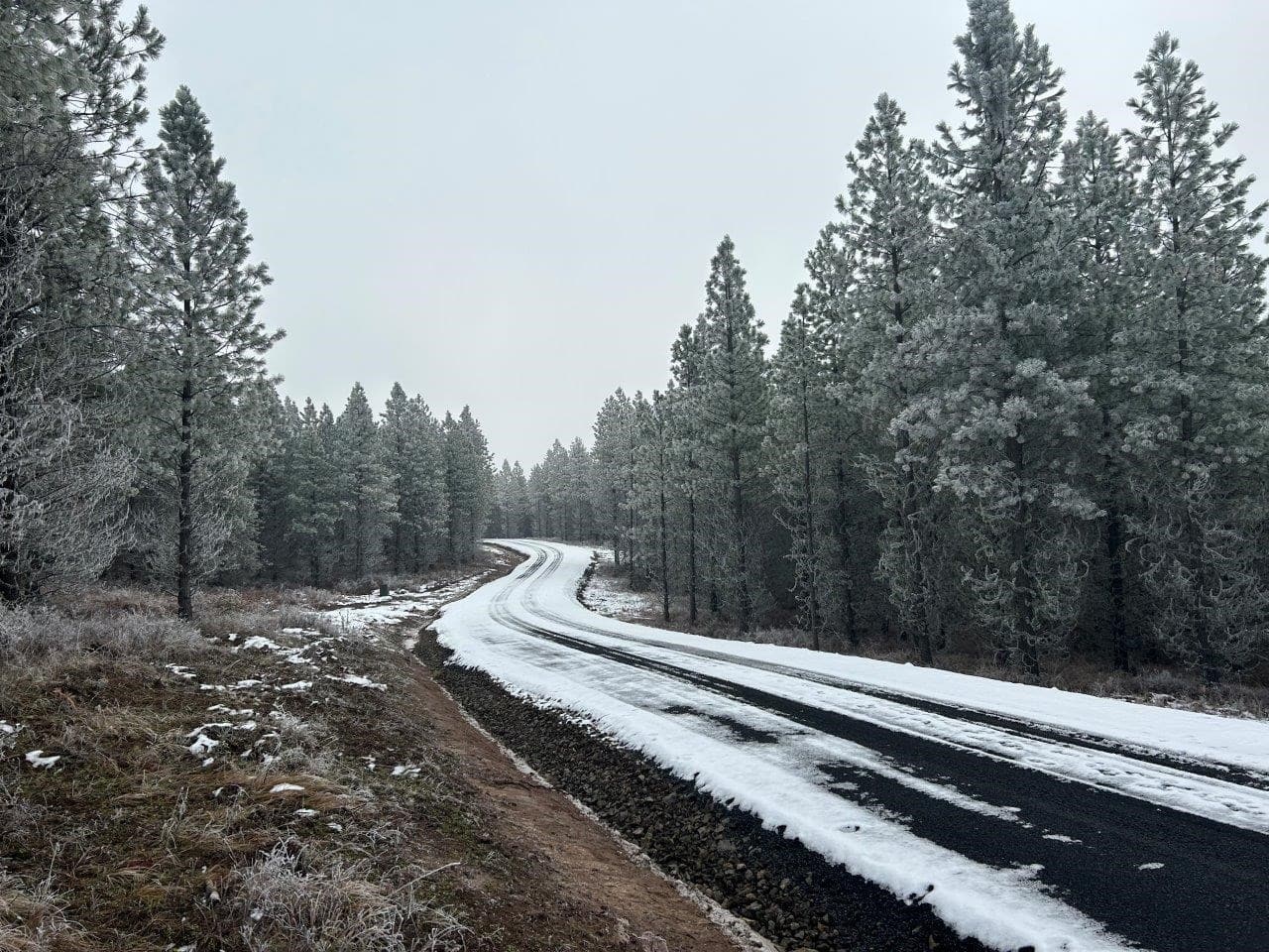Land for Sale near Orofino in Clearwater County, Idaho
