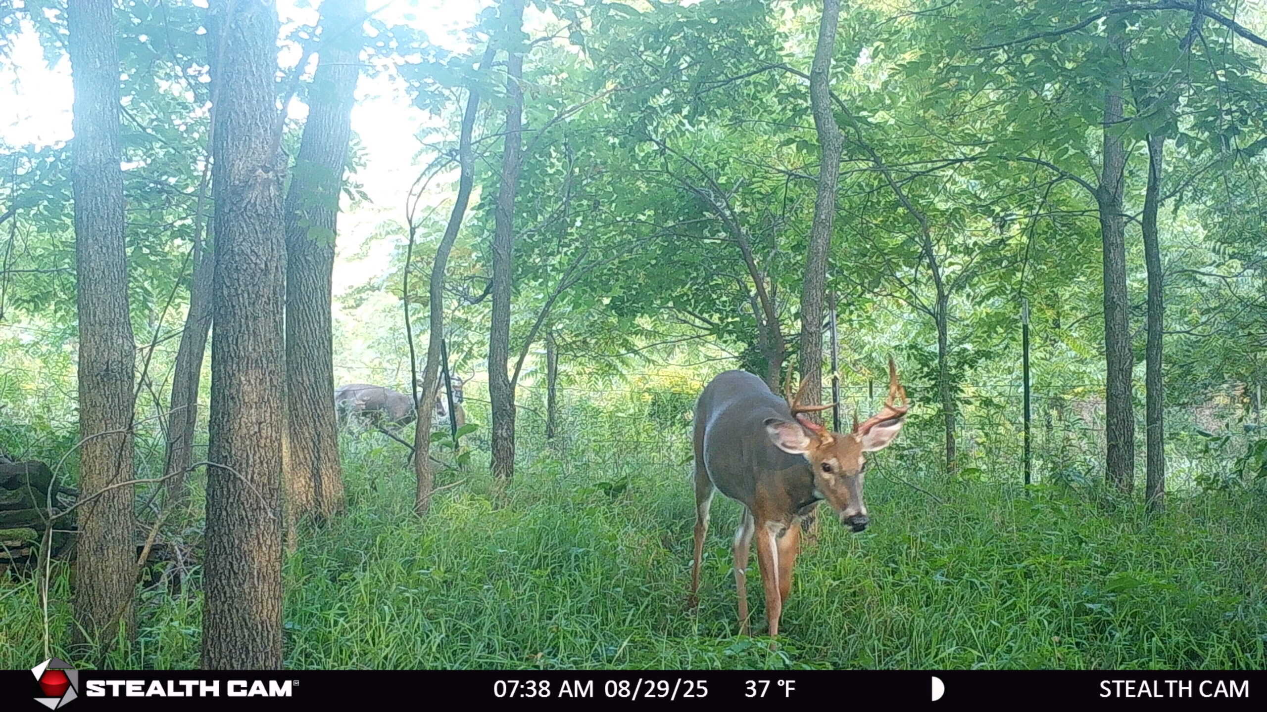 40-acre gem in Marquette County, Wisconsin