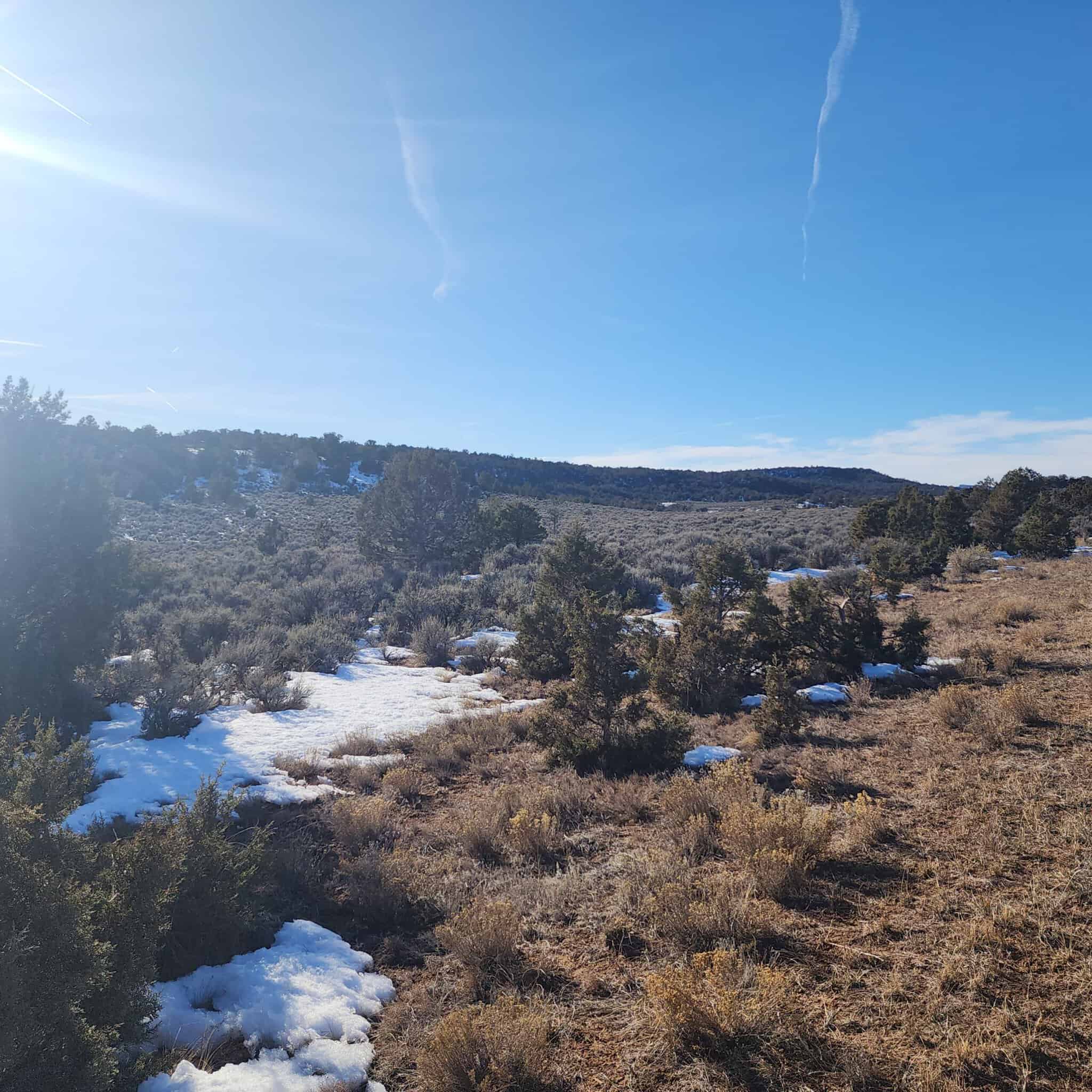 Cabin on 71 acres west of Debeque, CO