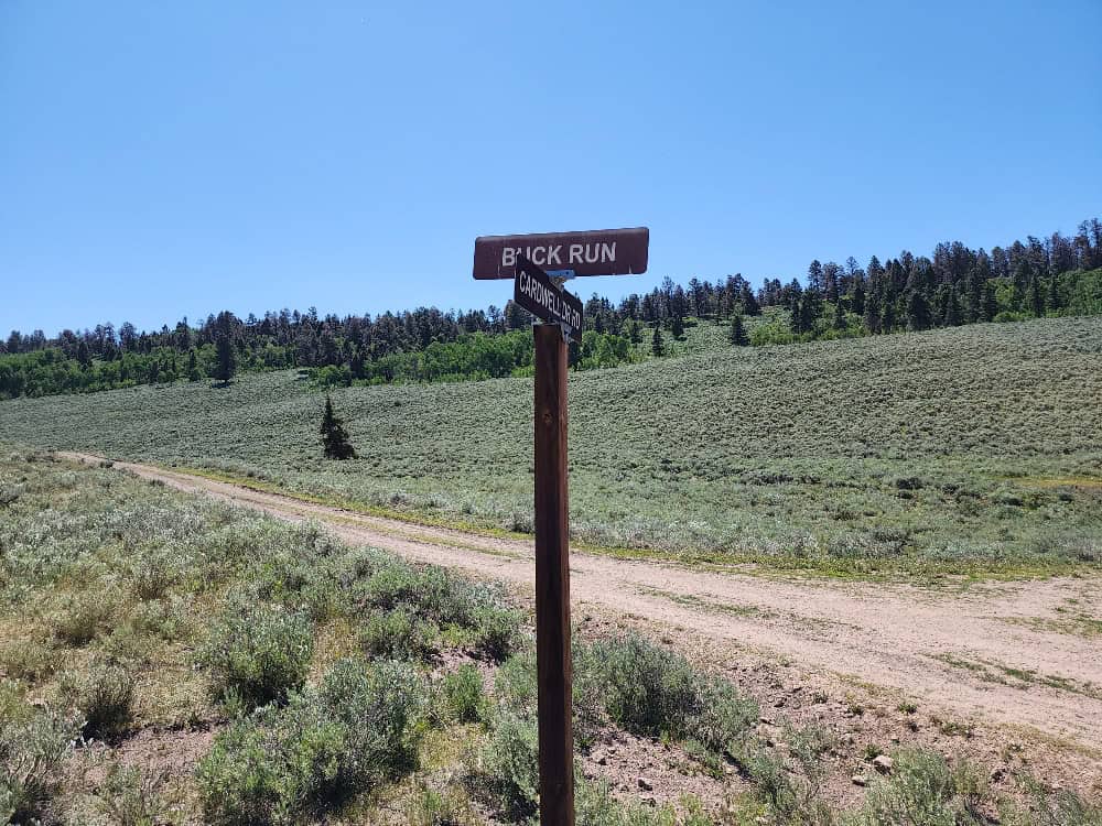 40 Acres in Powderhorn, CO