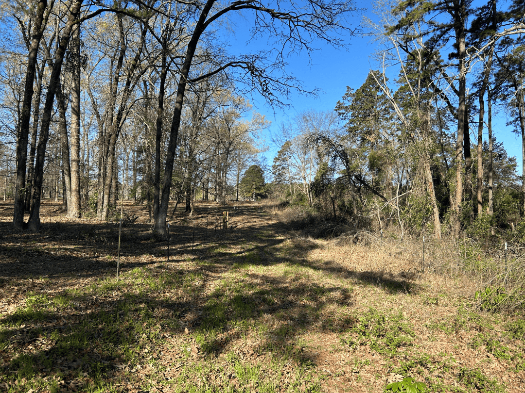 Hunting & Timber Investment Property for Sale in East Texas