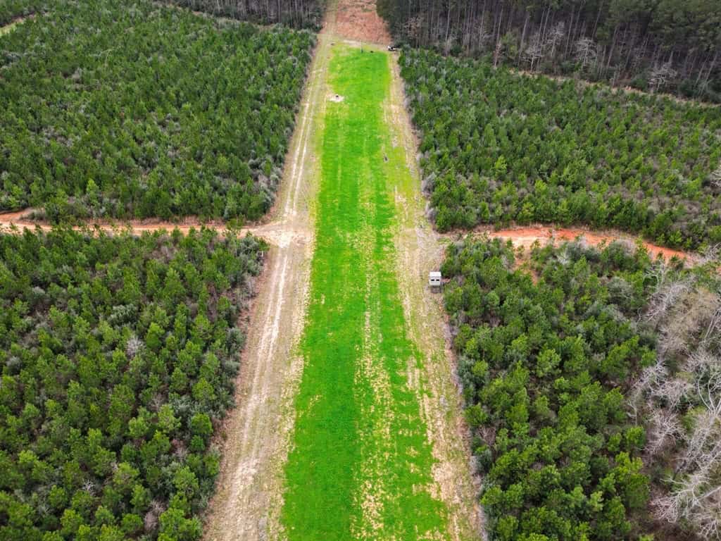 Affordable Hunting Property in Amite County