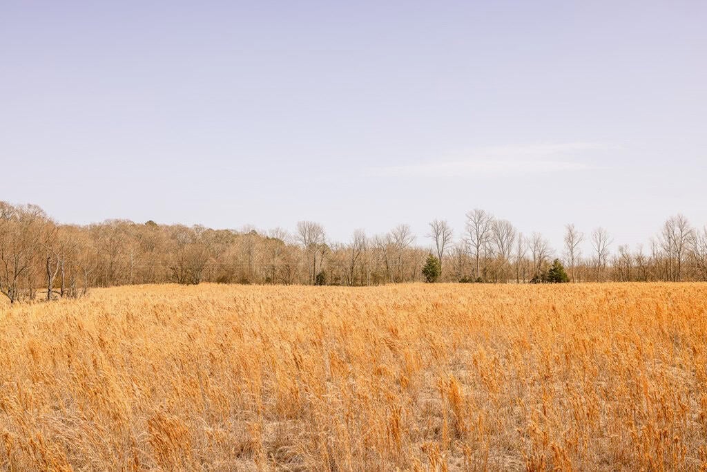 Land for Sale in Warren County, MS