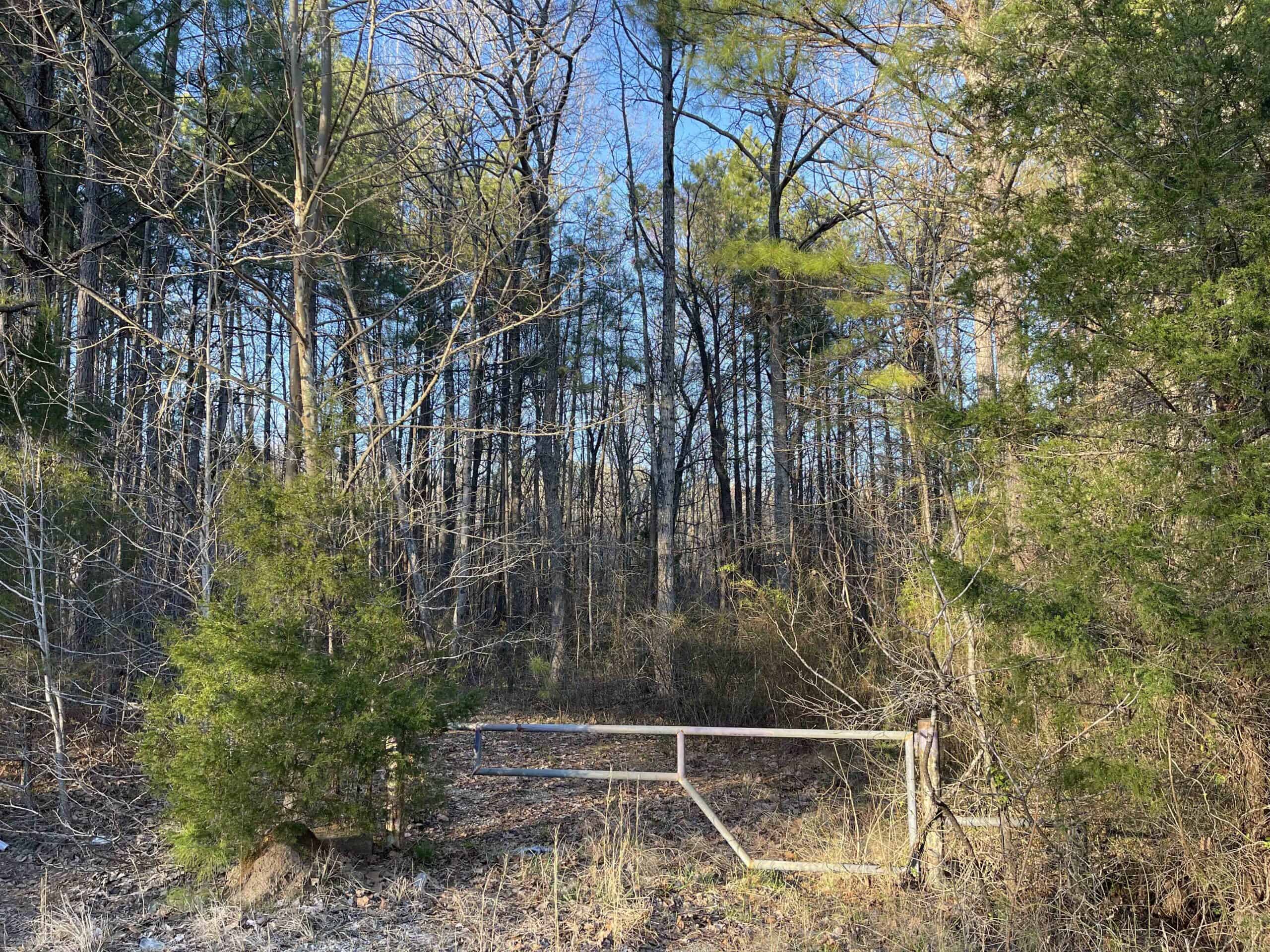 HUNTING LAND FOR SALE NEAR TN RIVER WITH CREEK 154.16Acres
