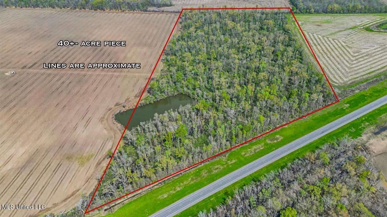 Affordable Deer/Duck Combination in Concordia Parish