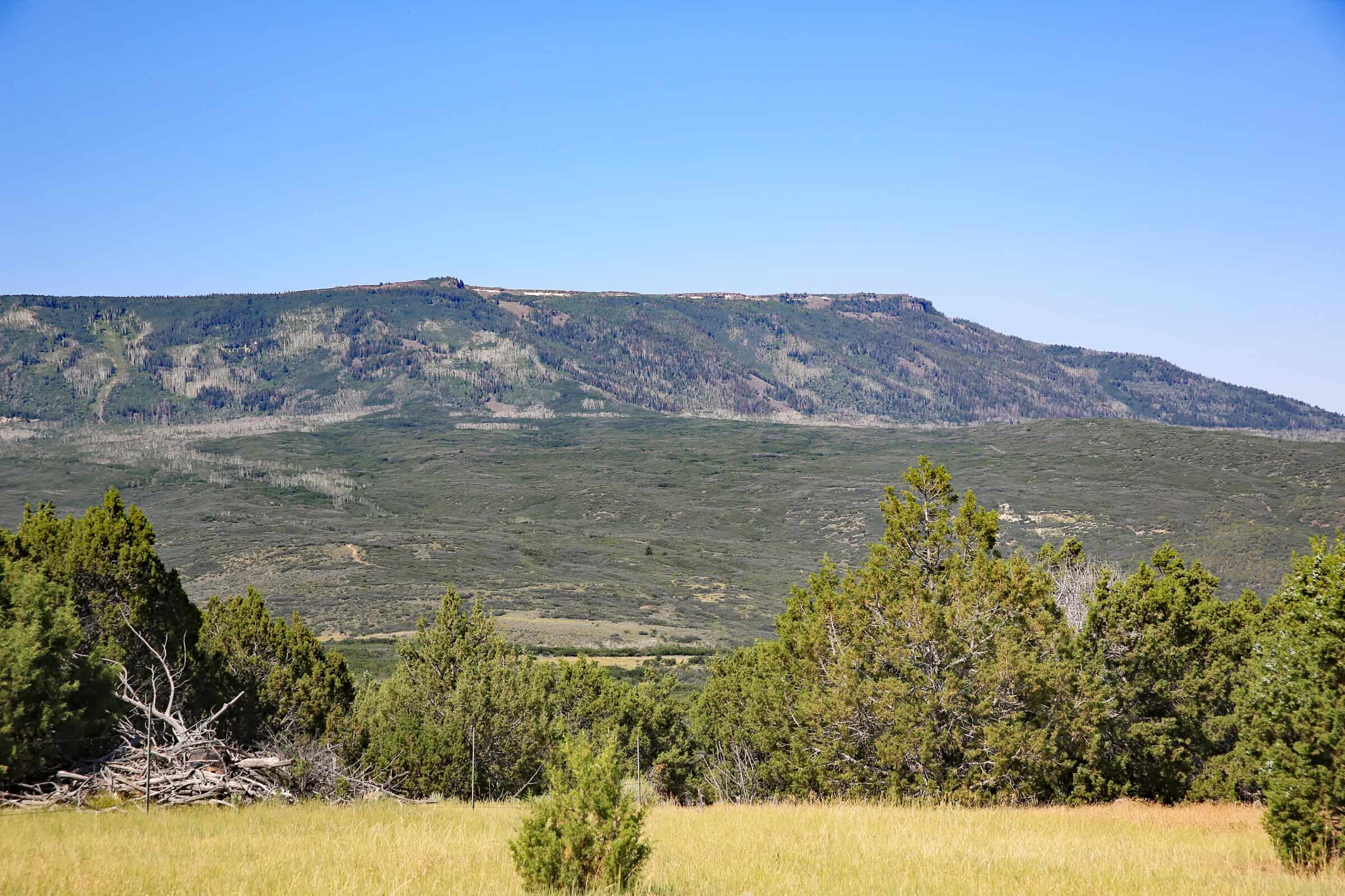Colorado Land For Sale Borders Public Land National Forest and BLM