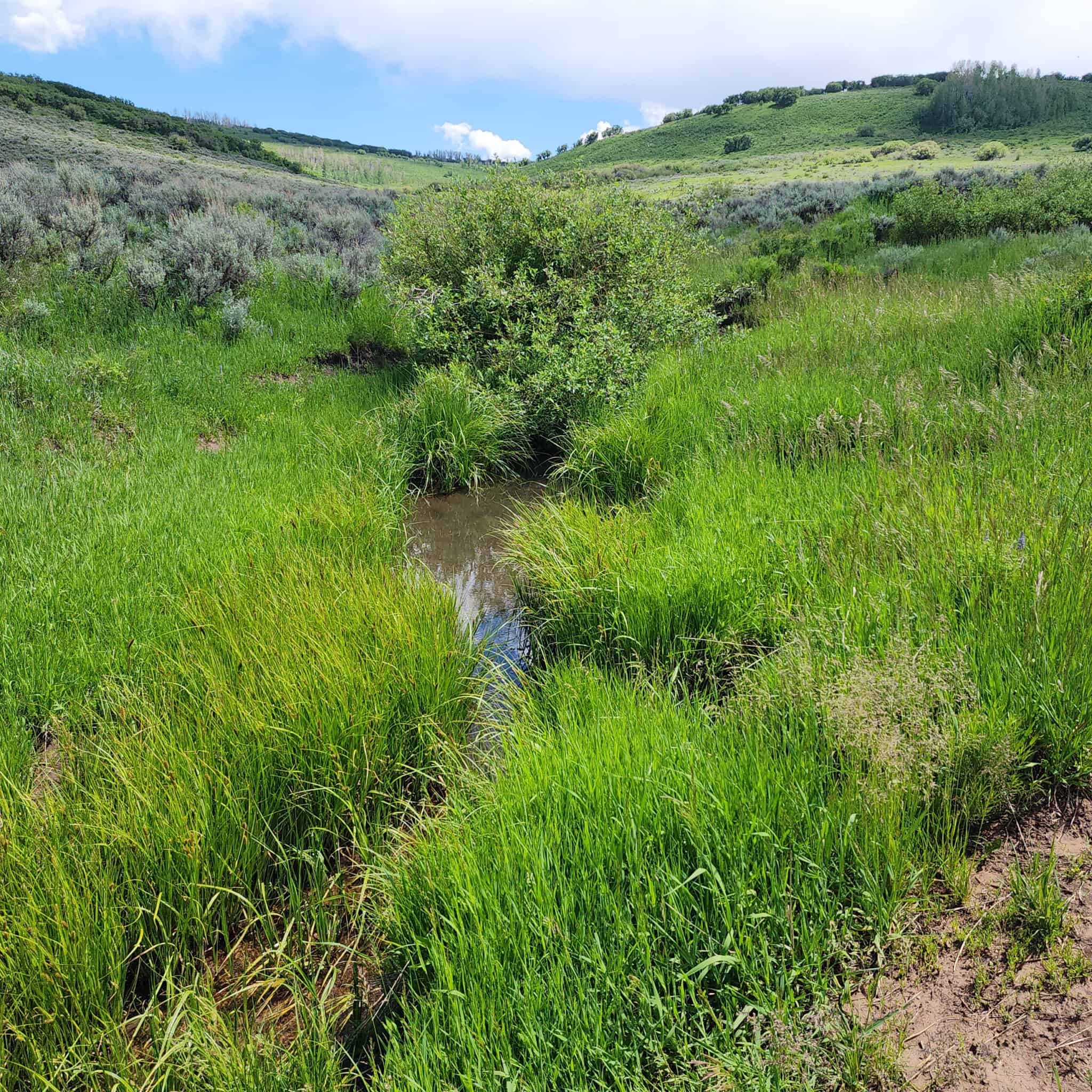 Colorado Hunting Property for Sale