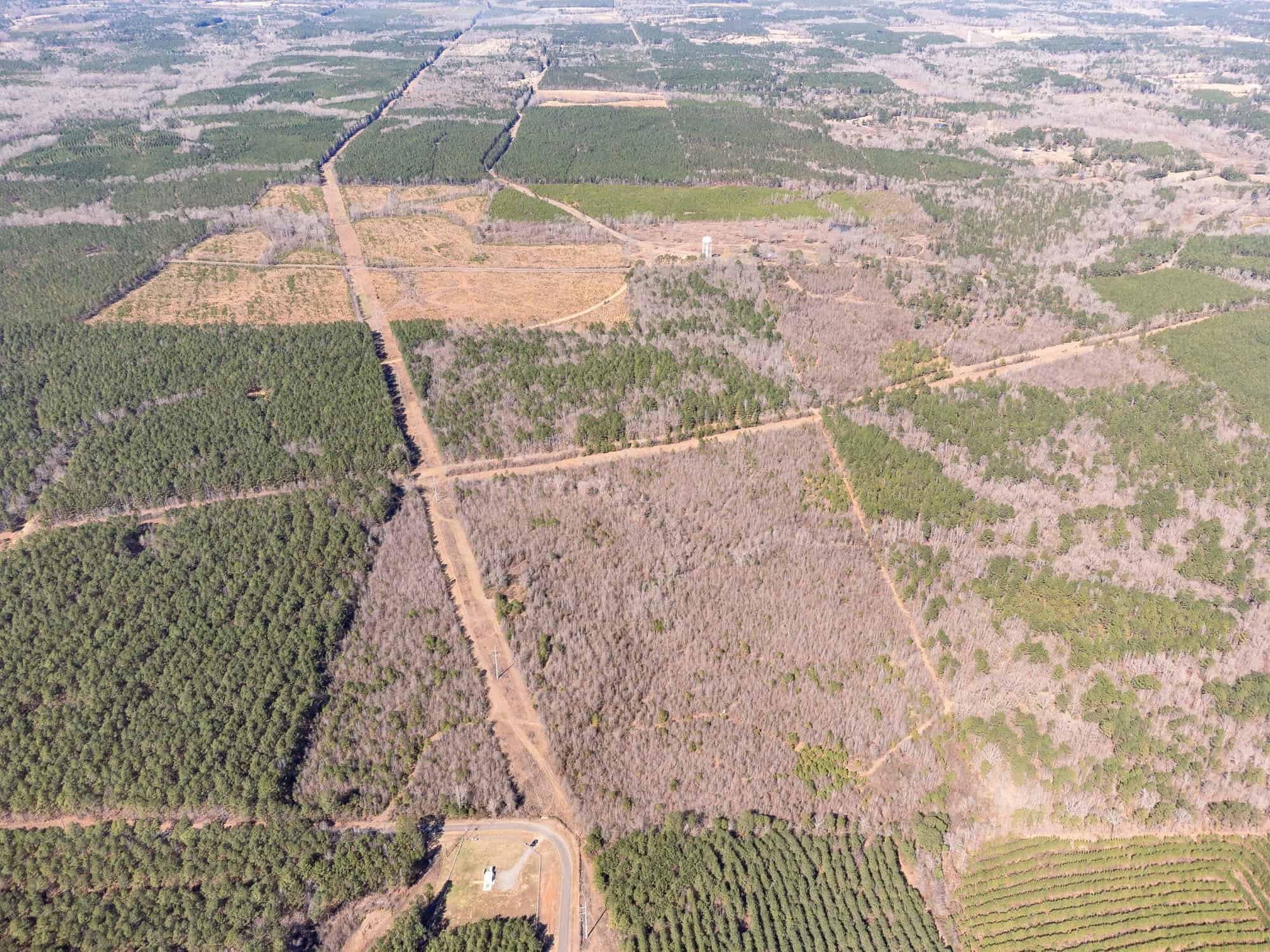 Woodville 101 – SW Lincoln Parish Timber Tract