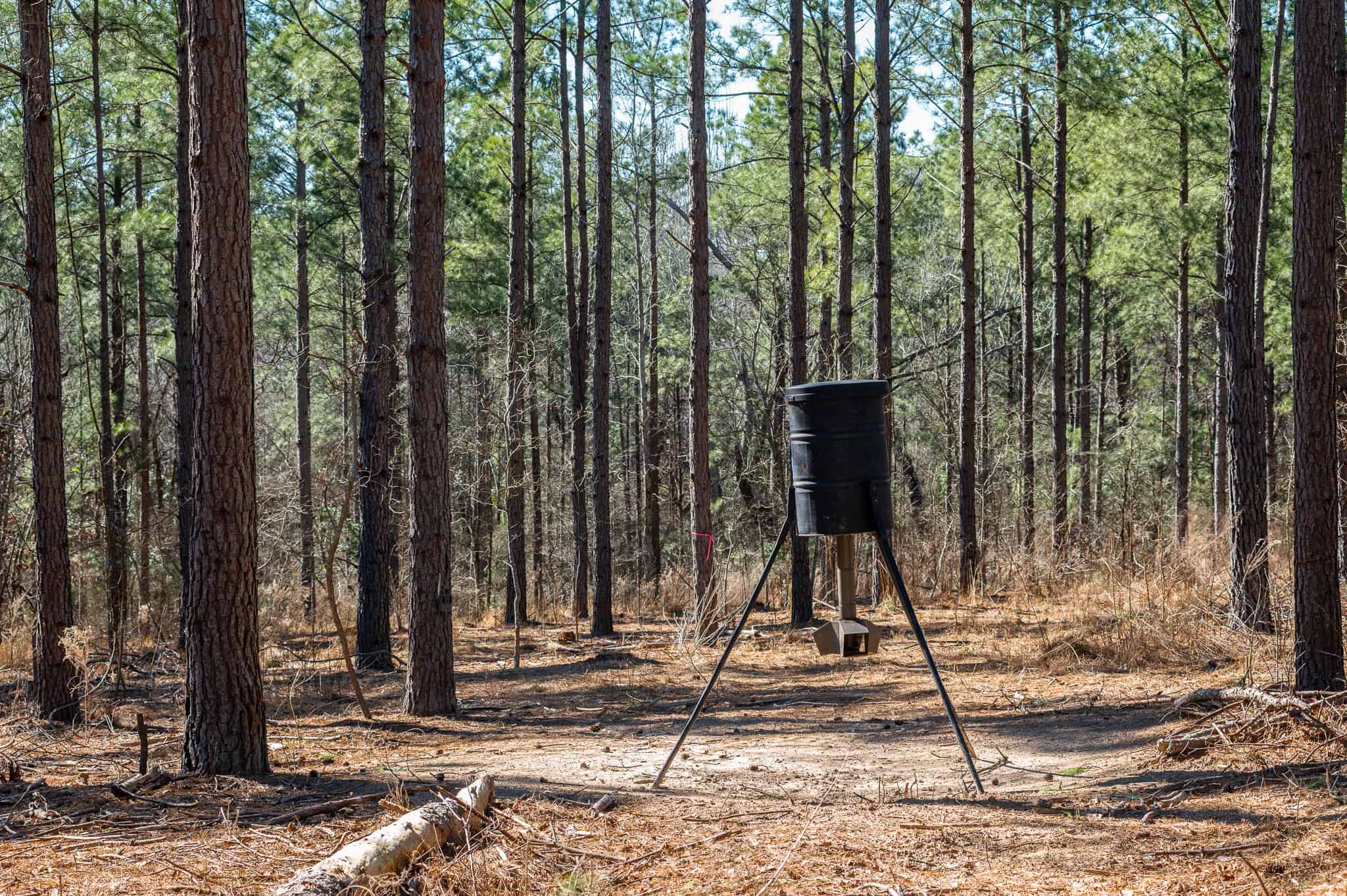 Premier East Texas Hunting & Timberland for Sale – 699 Acres in Ben Wheeler, TX