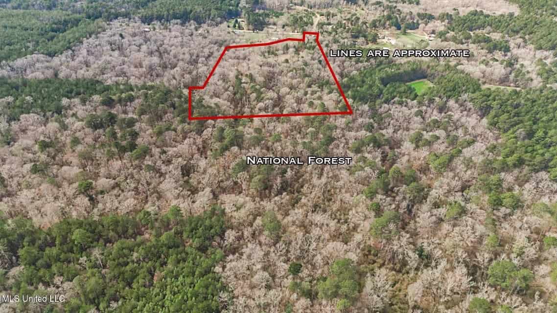20 Acres and Cabin Adjoining Homochitto National Forest