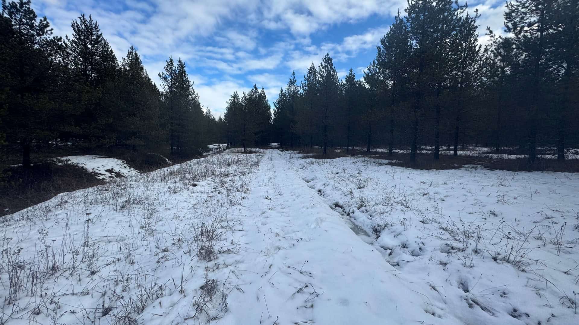 Land for Sale in Orofino, Idaho
