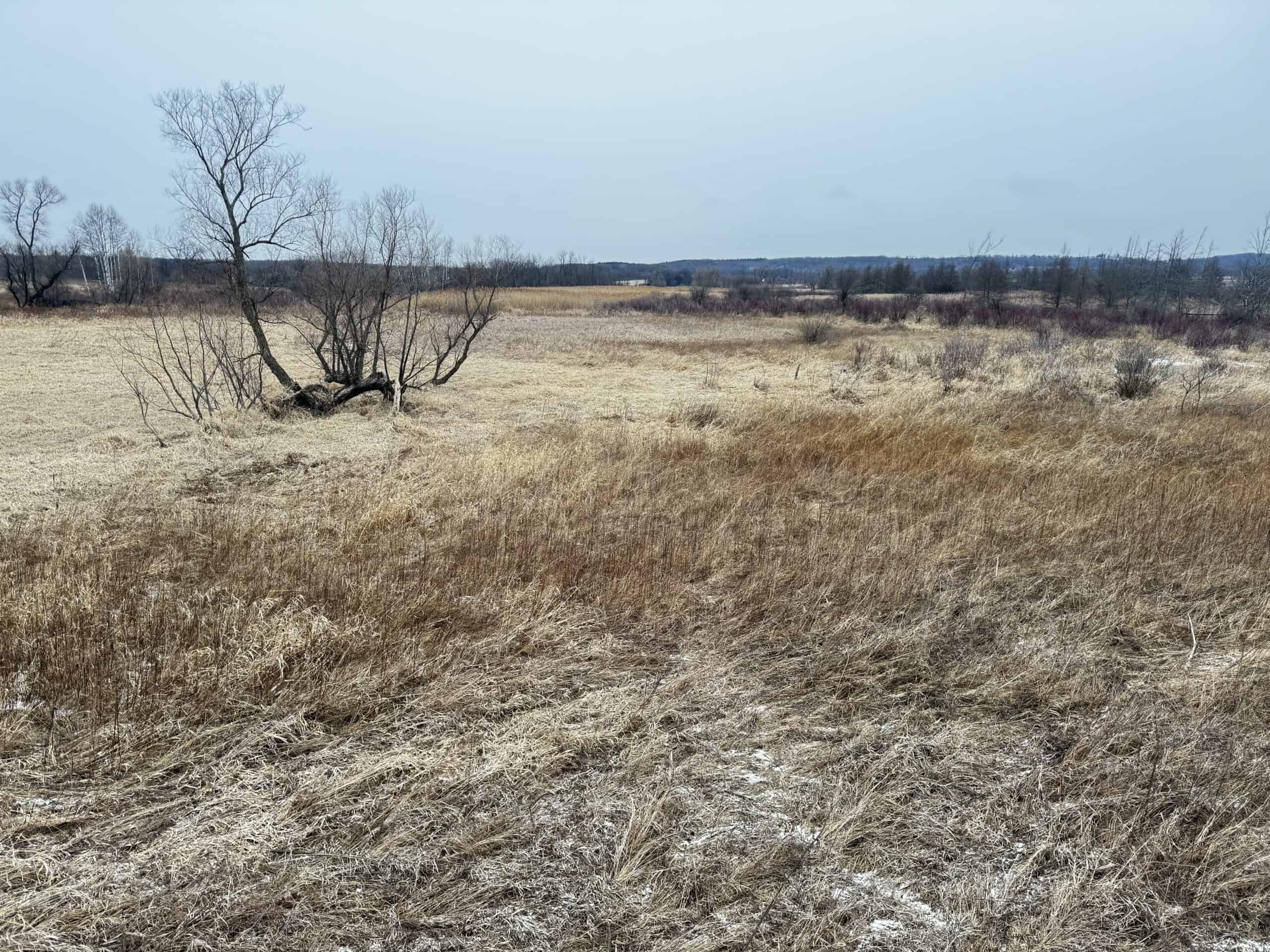 40-acre gem in Marquette County, Wisconsin