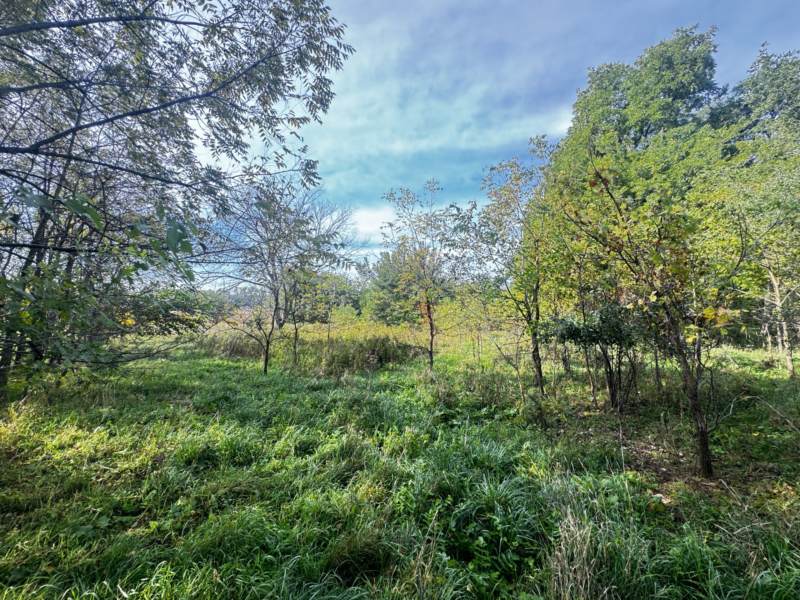40-acre gem in Marquette County, Wisconsin