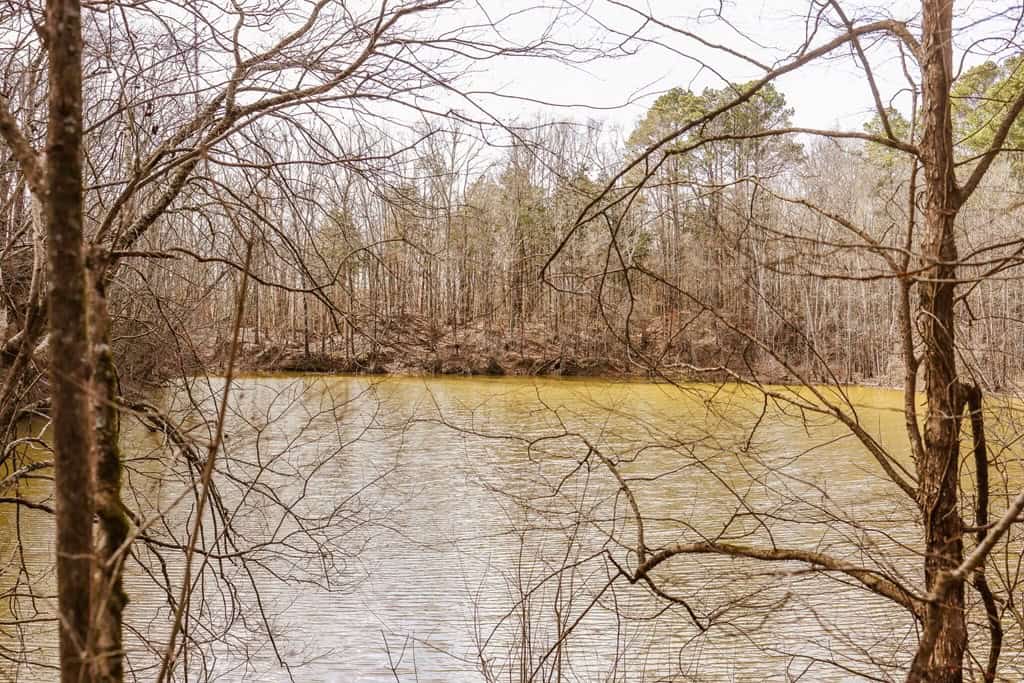 Land for Sale in Warren County, MS