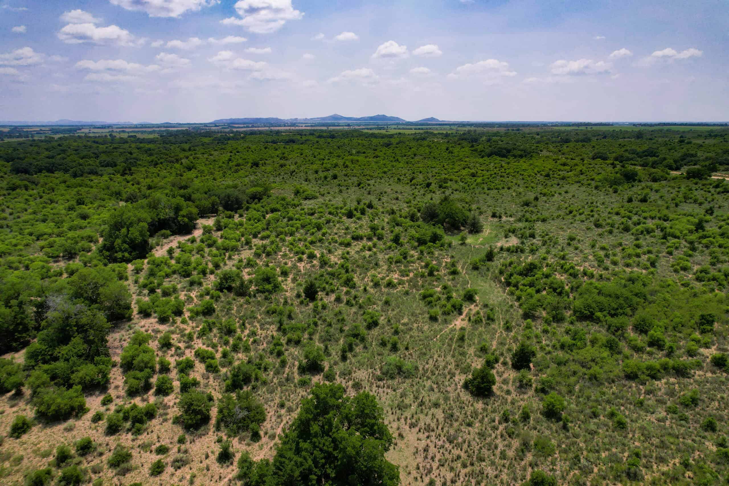 Multi-Property Auction Greer and Kiowa County Land Oklahoma