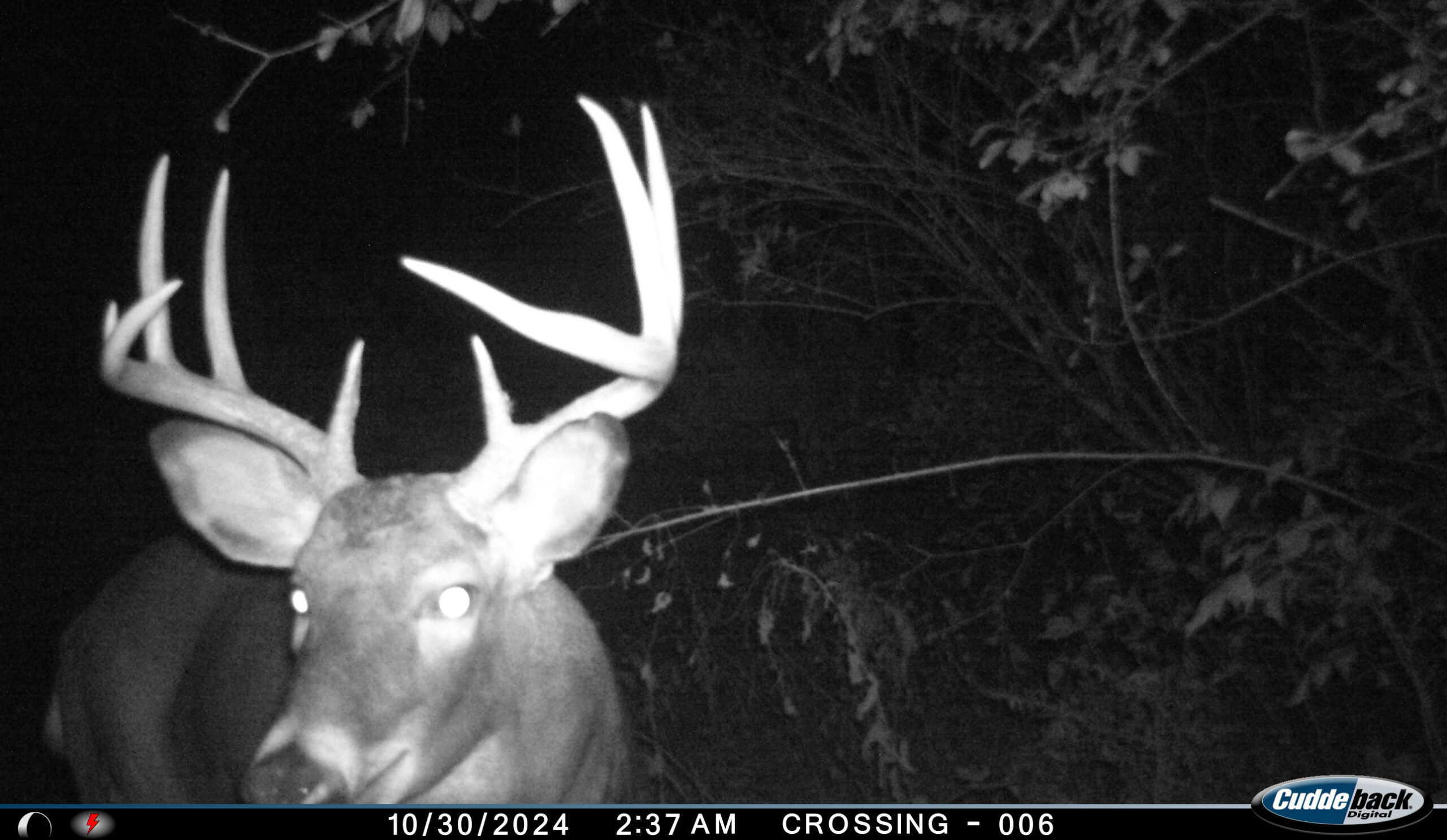 Discover S790 Wrobel Road Chaseburg Wisconsin