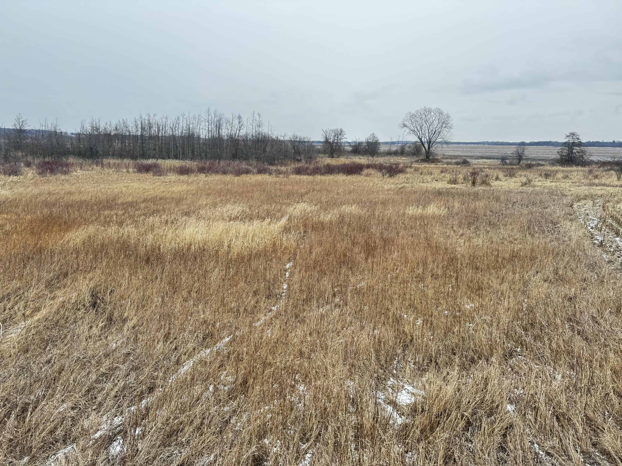 40-acre gem in Marquette County, Wisconsin