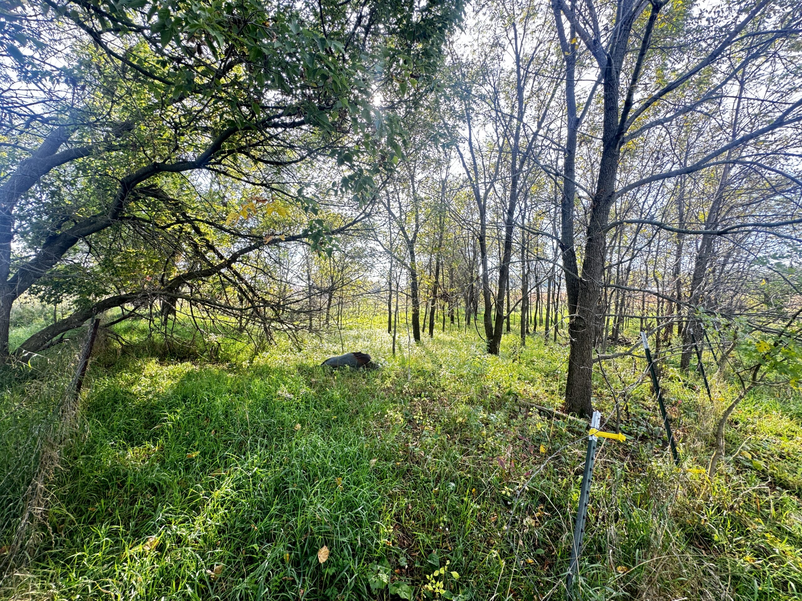 40-acre gem in Marquette County, Wisconsin