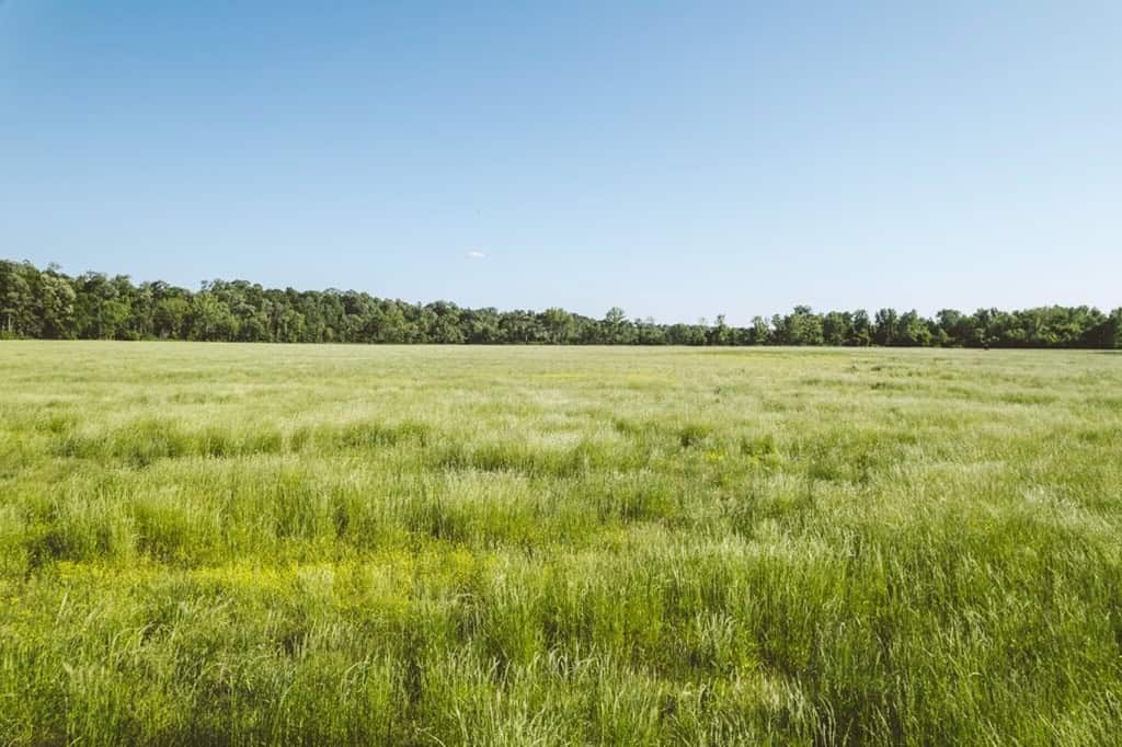 1001 Travelers Rest Road