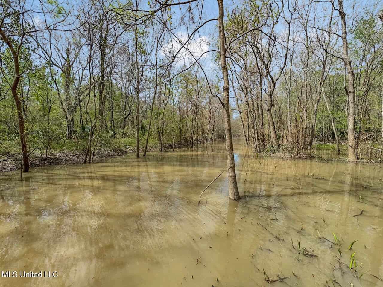 Affordable Deer/Duck Combination in Concordia Parish