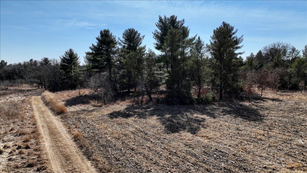 Premier Hunting and Recreational Property in Monroe County