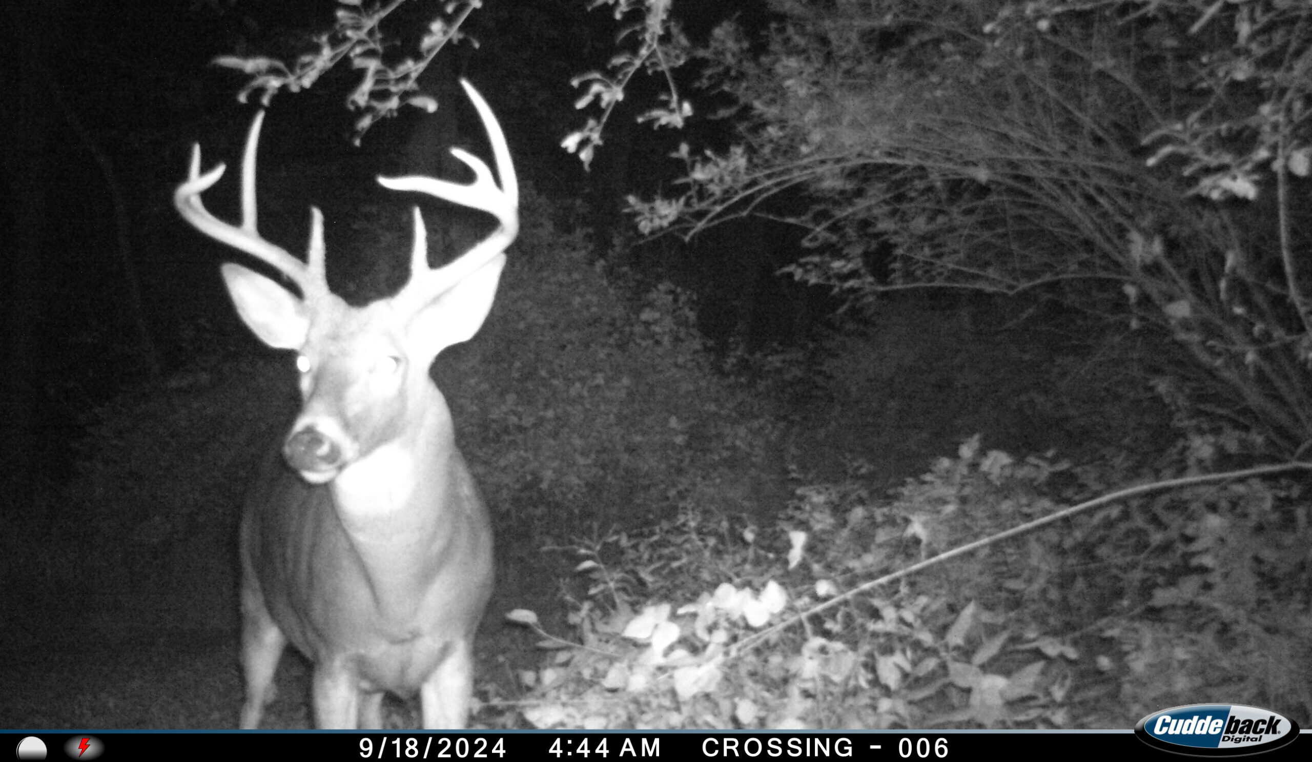 Discover S790 Wrobel Road Chaseburg Wisconsin