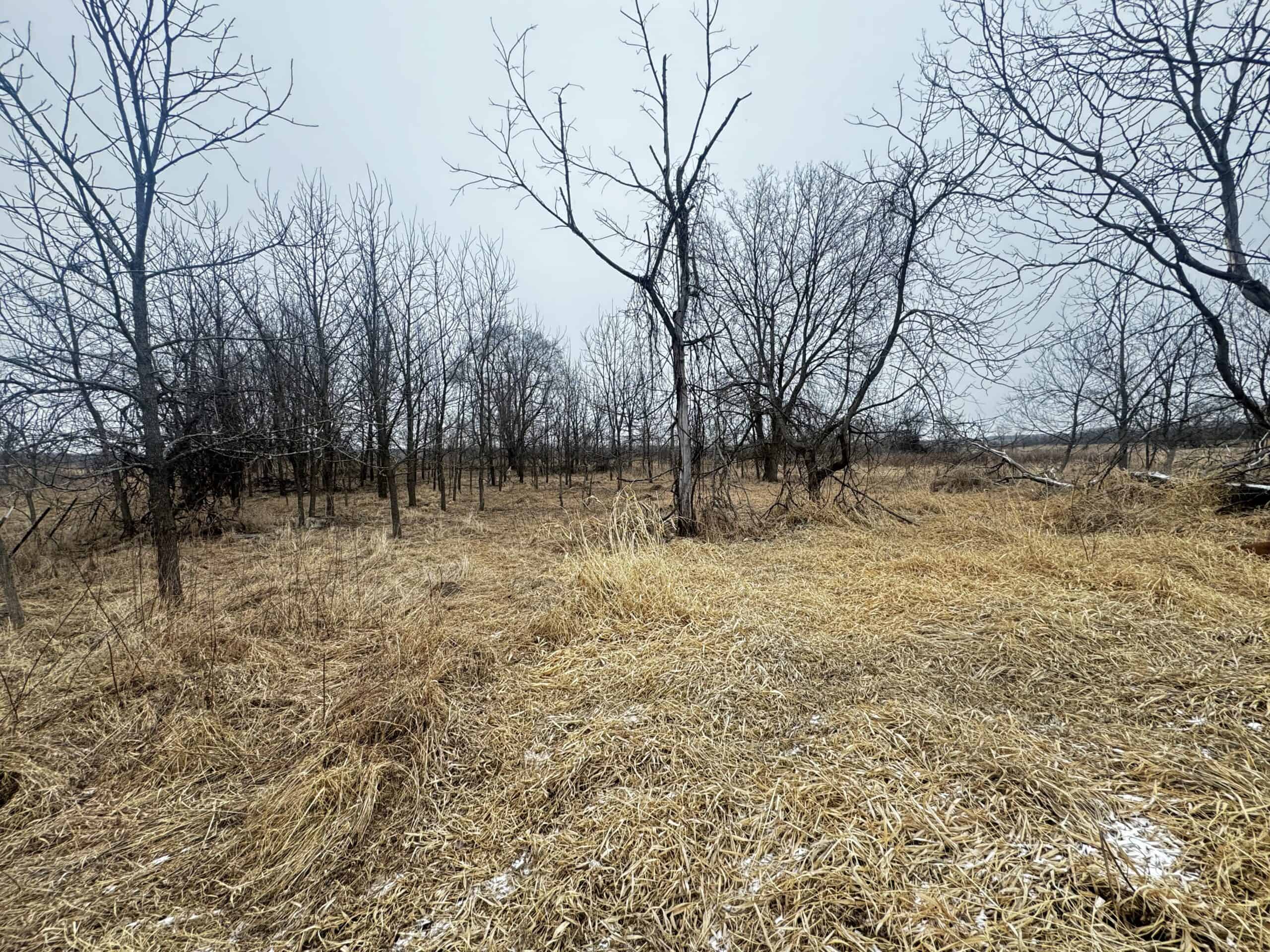 40-acre gem in Marquette County, Wisconsin