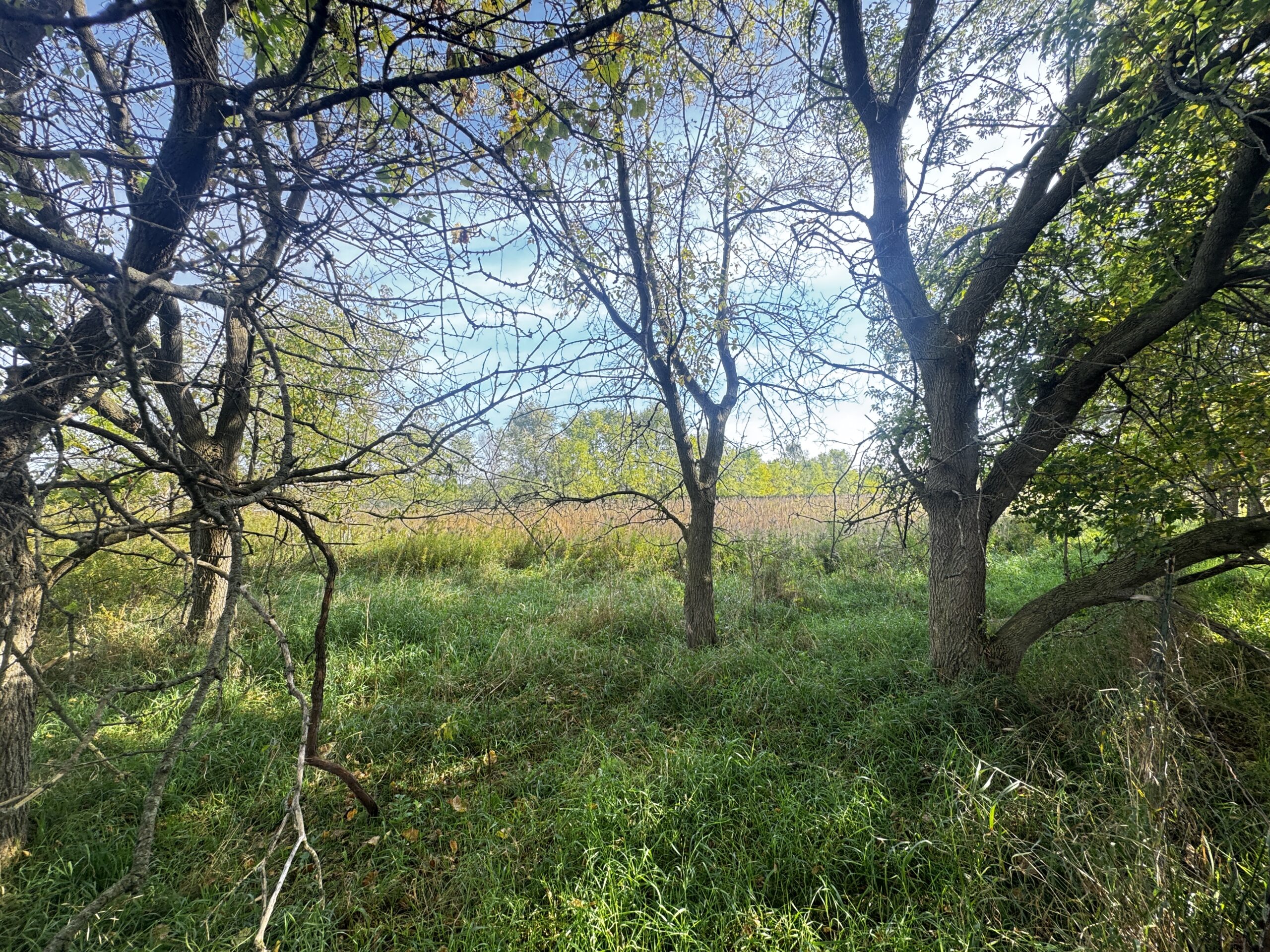 40-acre gem in Marquette County, Wisconsin