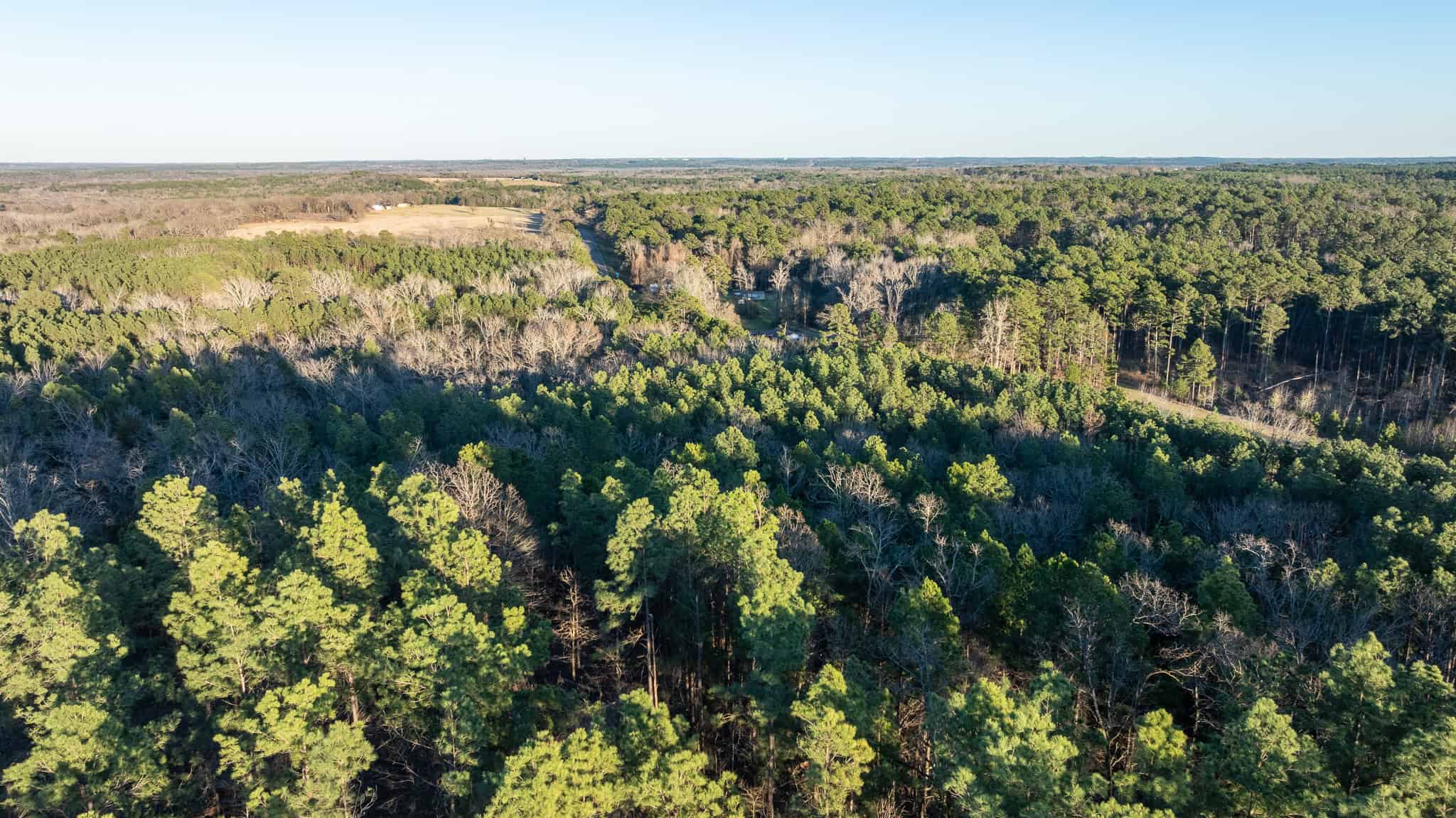 Premier East Texas Hunting & Timberland for Sale – 699 Acres in Ben Wheeler, TX