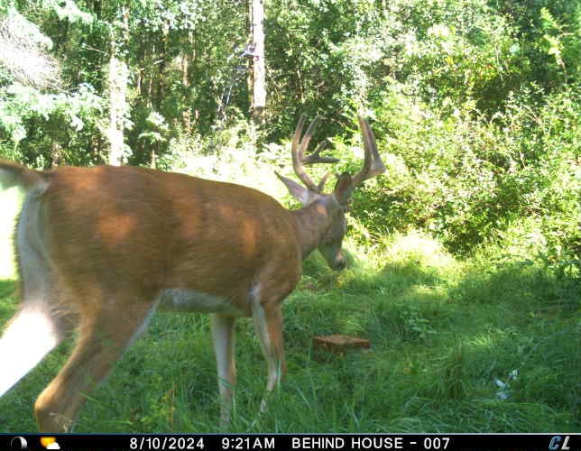 Discover S790 Wrobel Road Chaseburg Wisconsin