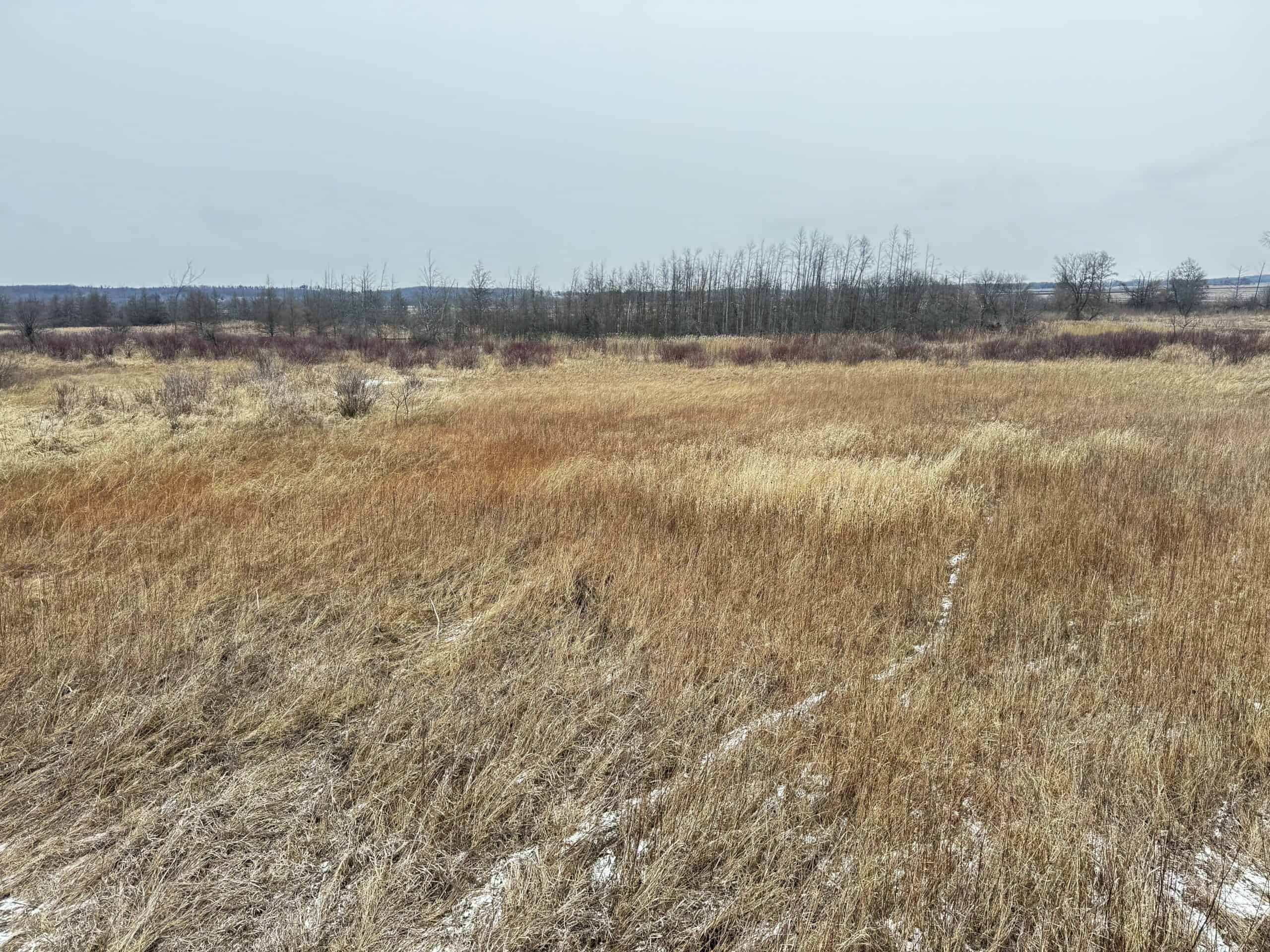 40-acre gem in Marquette County, Wisconsin