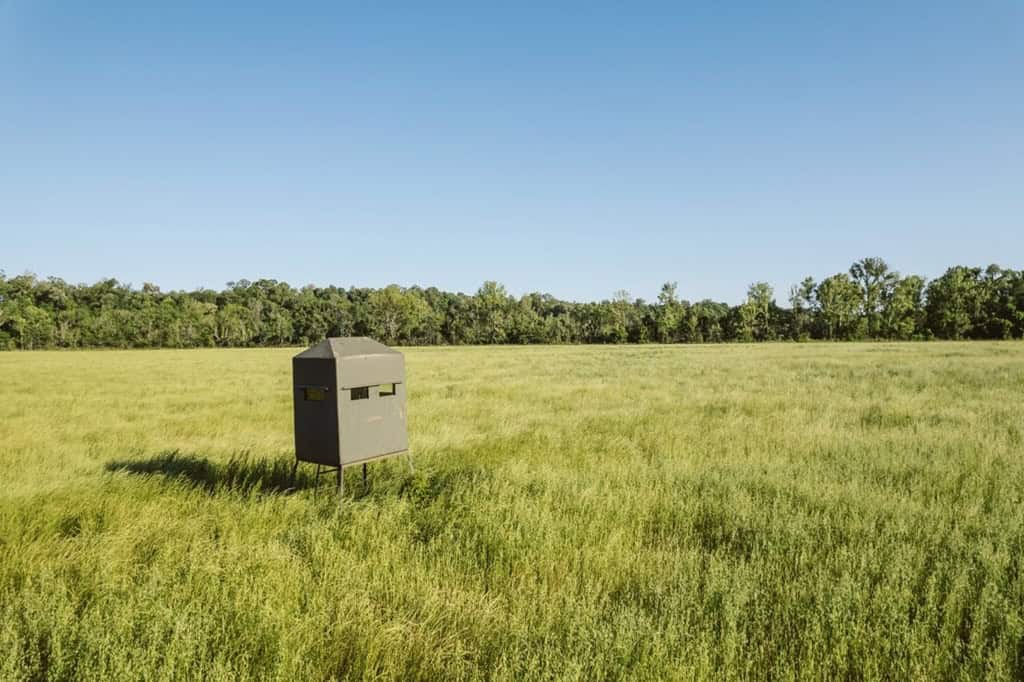 1001 Travelers Rest Road