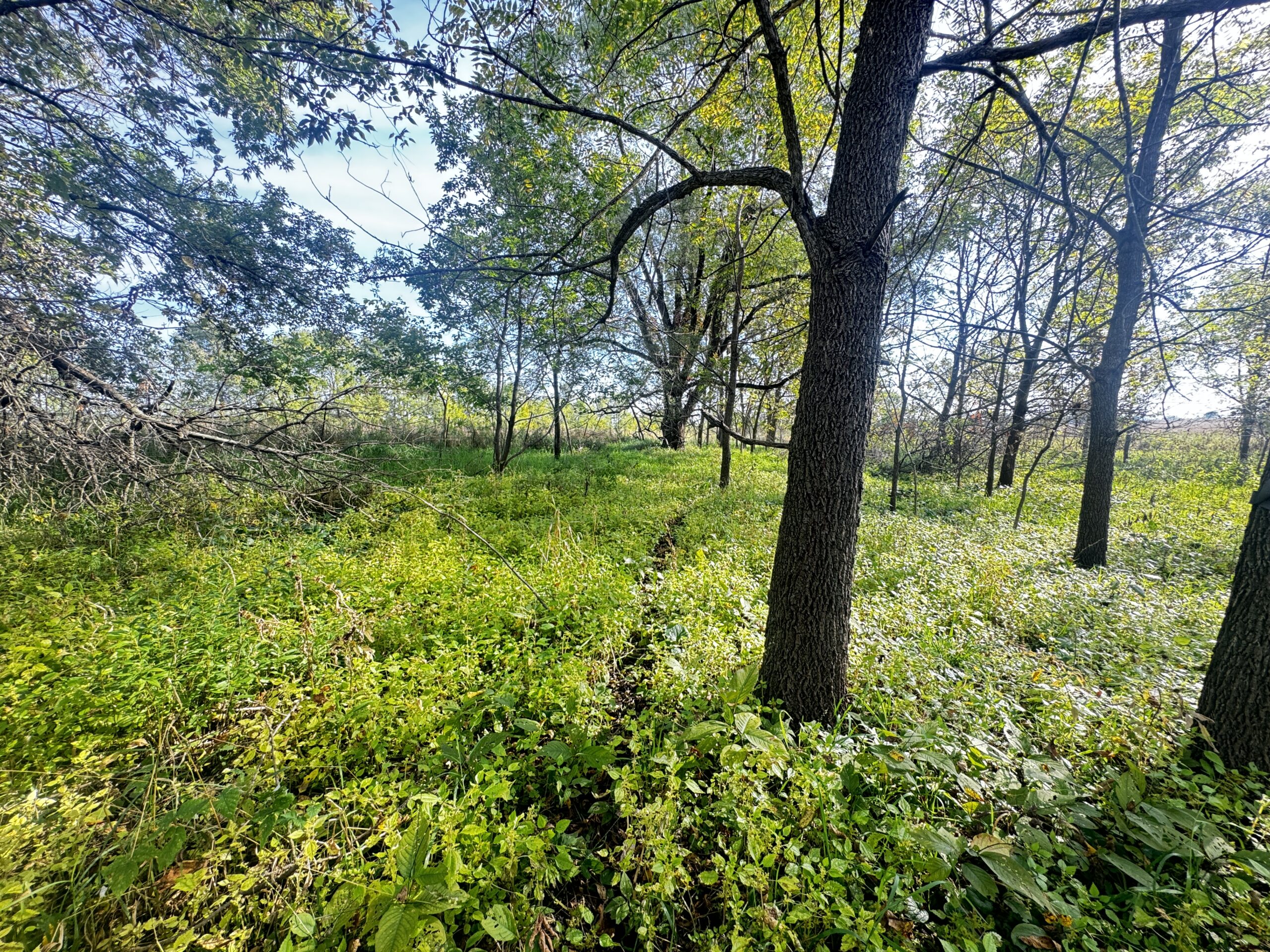 40-acre gem in Marquette County, Wisconsin