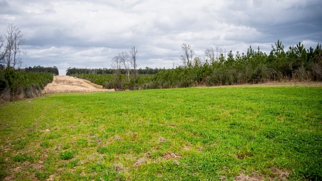 Affordable Hunting Property in Amite County