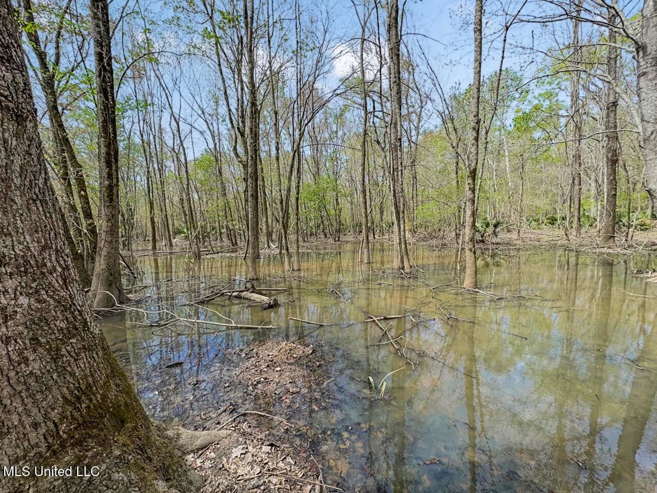 Affordable Deer/Duck Combination in Concordia Parish