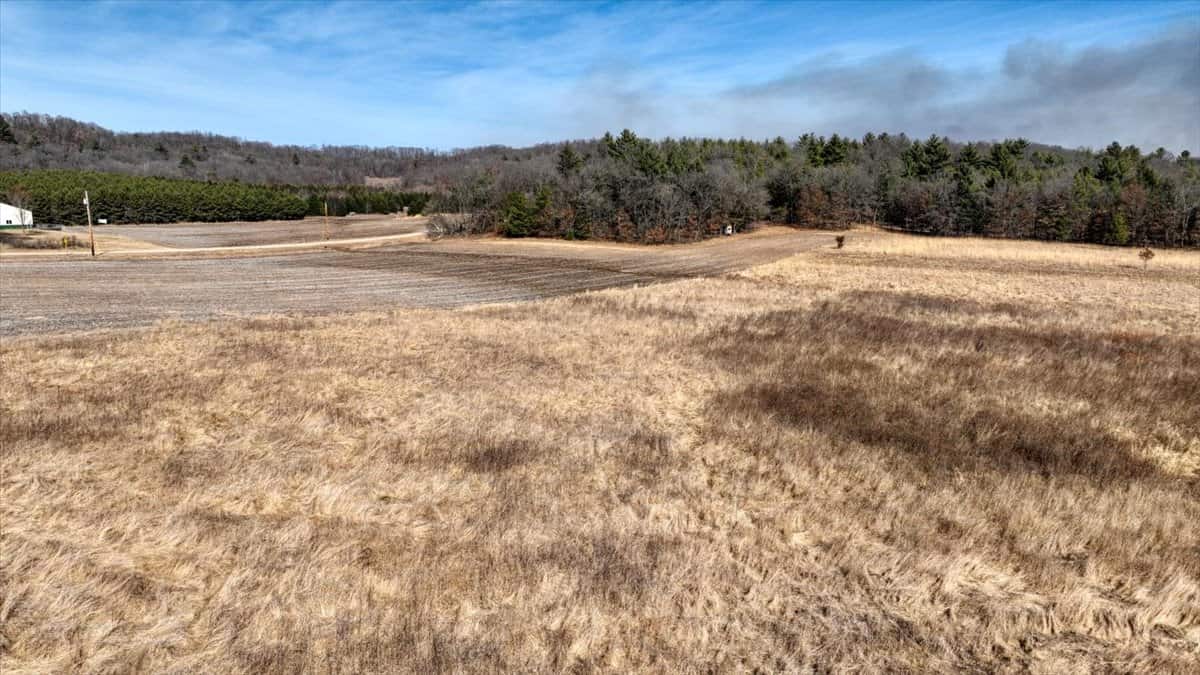 Premier Hunting and Recreational Property in Monroe County