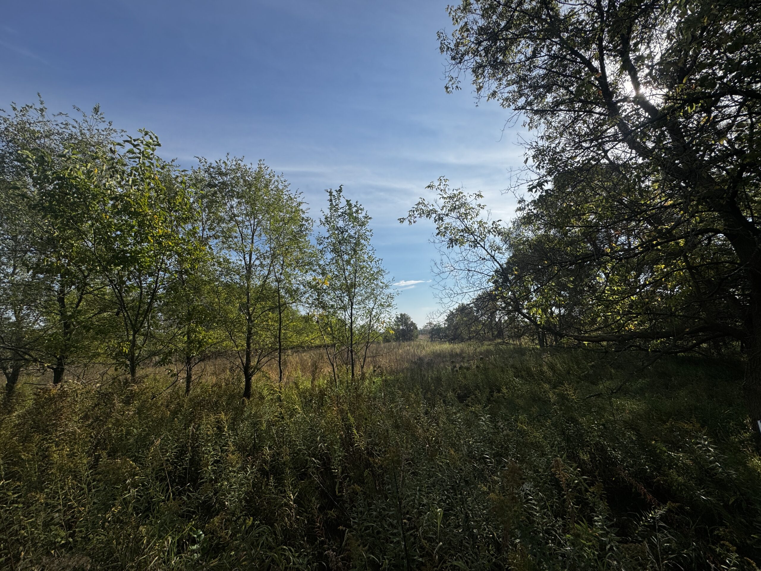 40-acre gem in Marquette County, Wisconsin