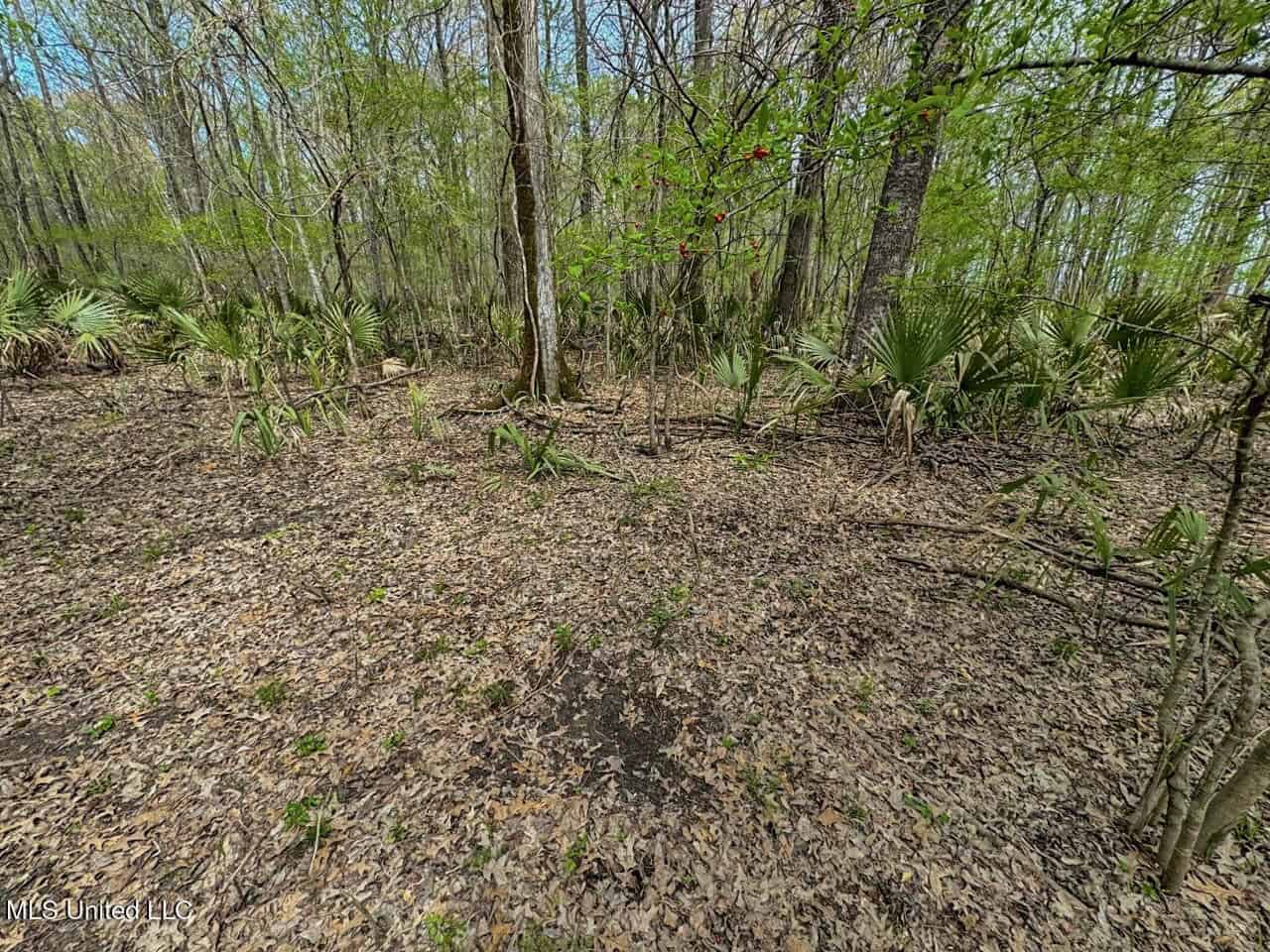 Affordable Deer/Duck Combination in Concordia Parish