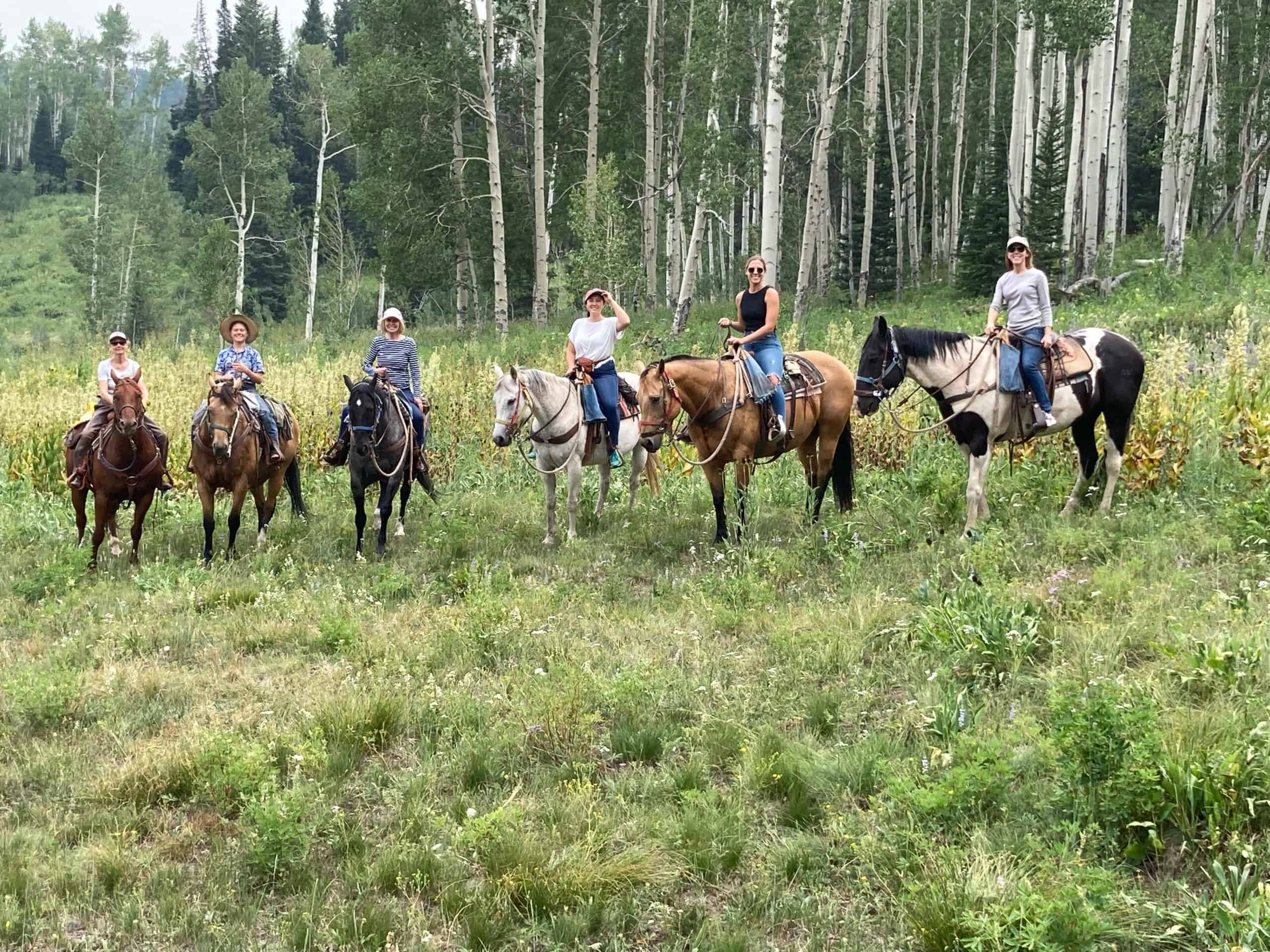 Colorado Outfitting Business for Sale Accessing National Forest