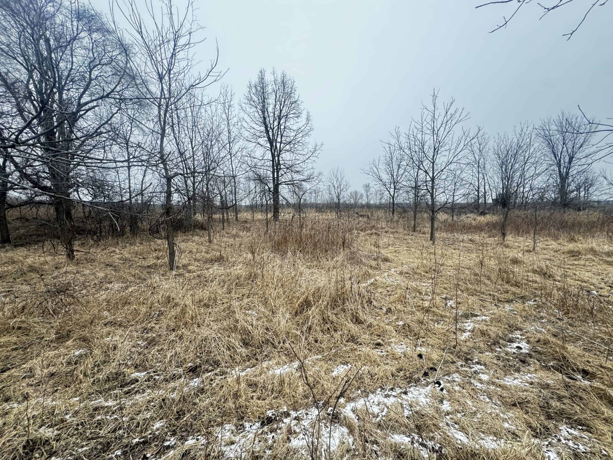 40-acre gem in Marquette County, Wisconsin