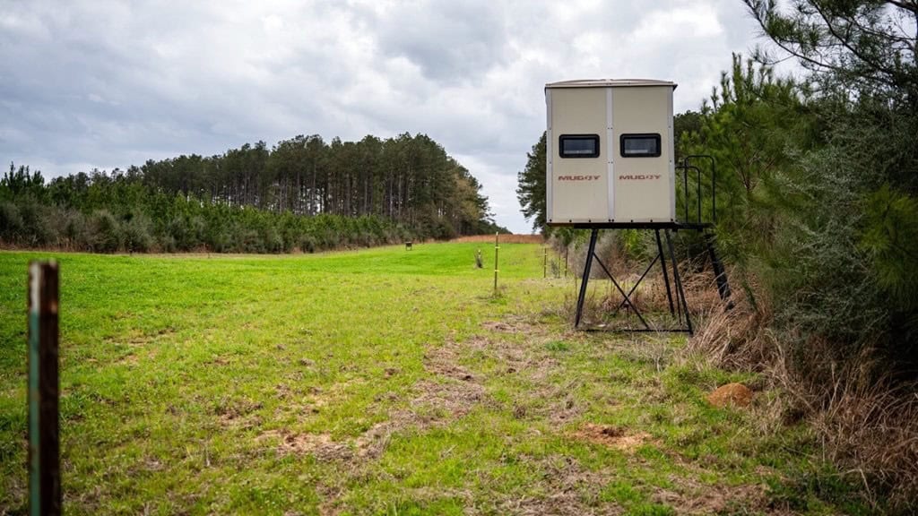 Affordable Hunting Property in Amite County