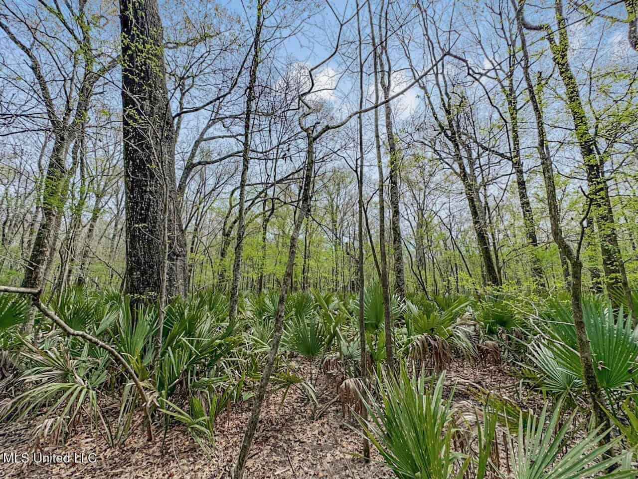 Affordable Deer/Duck Combination in Concordia Parish