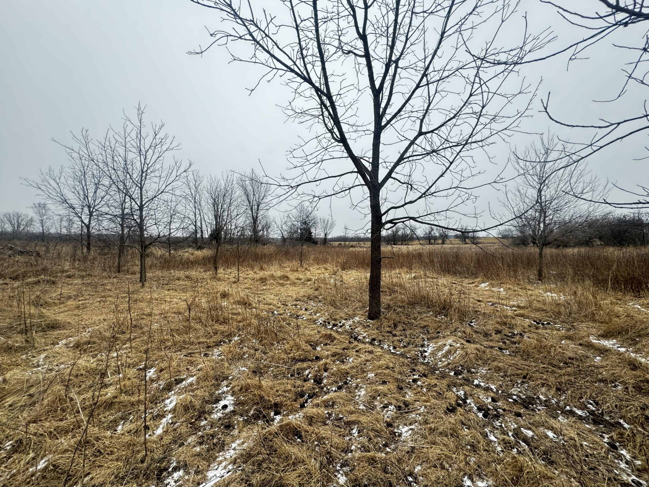 40-acre gem in Marquette County, Wisconsin